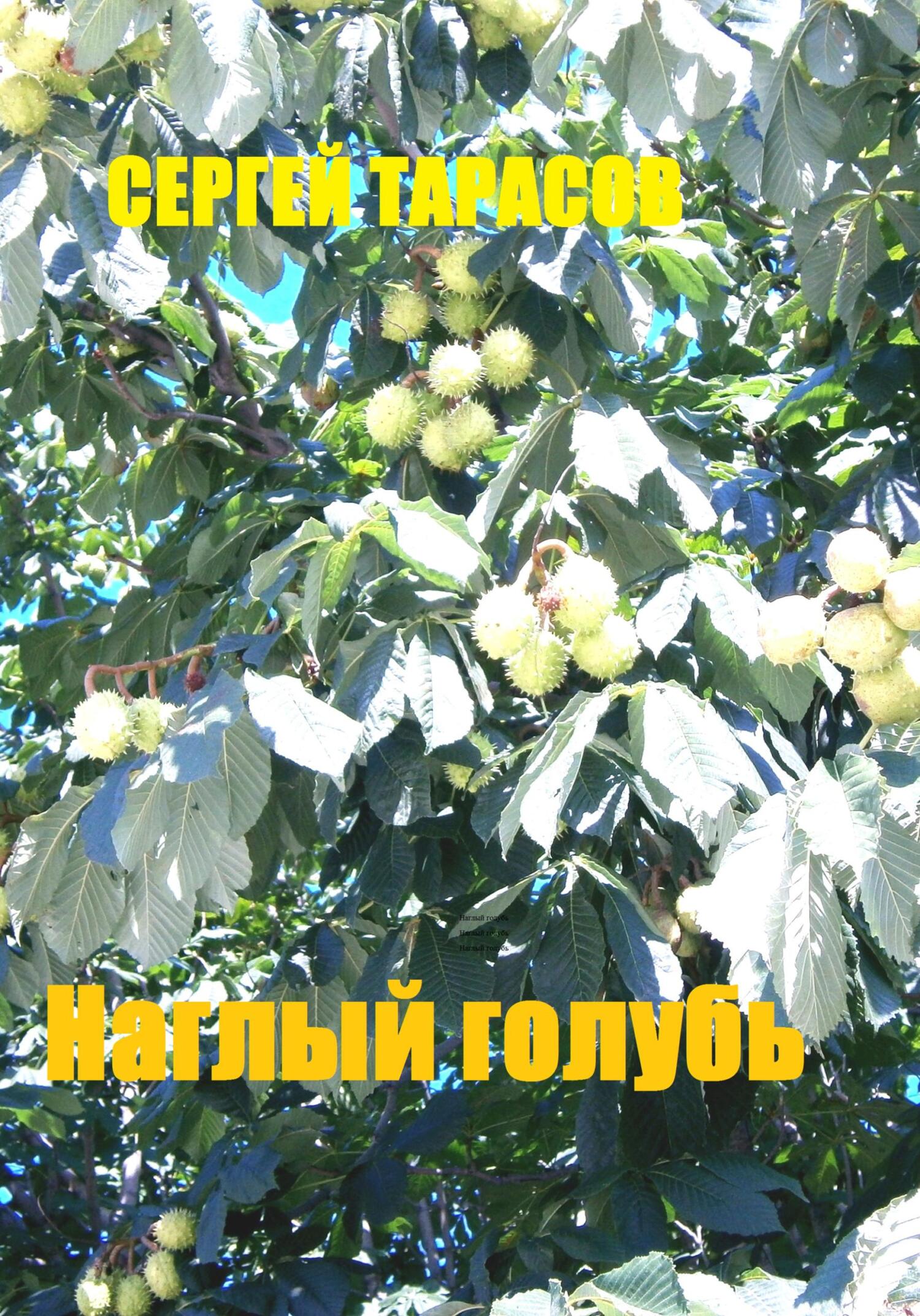 читать Наглый голубь
