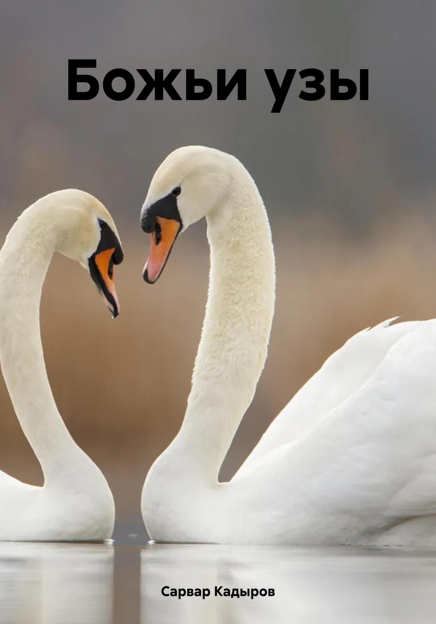 читать Божьи узы