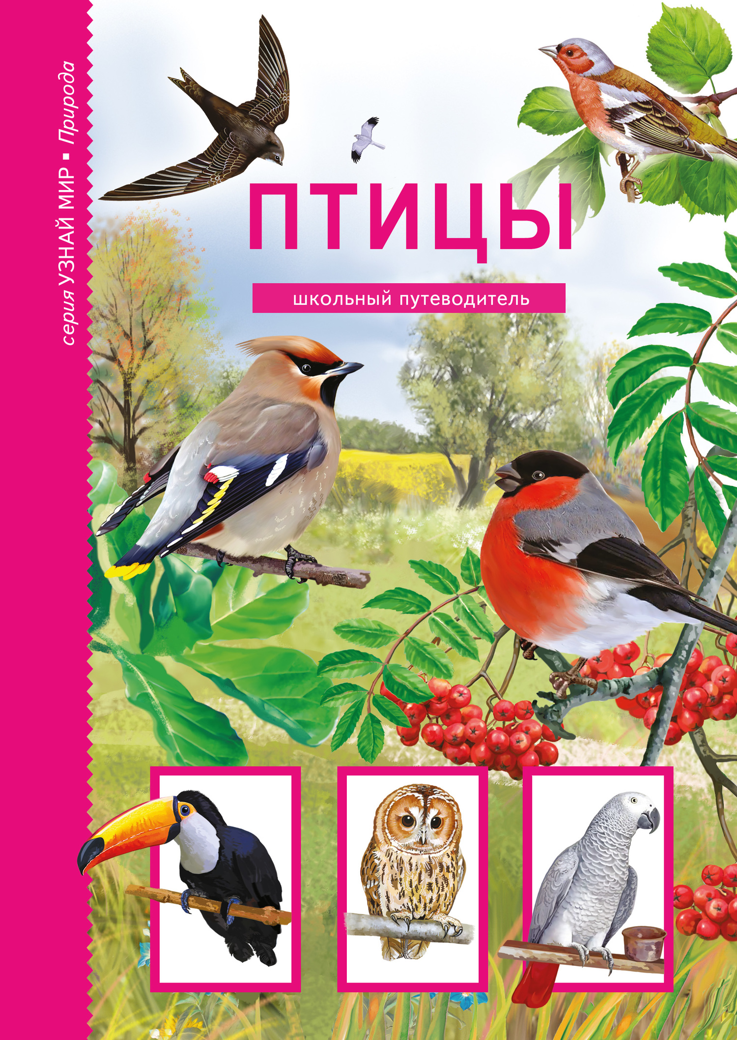 читать Птицы