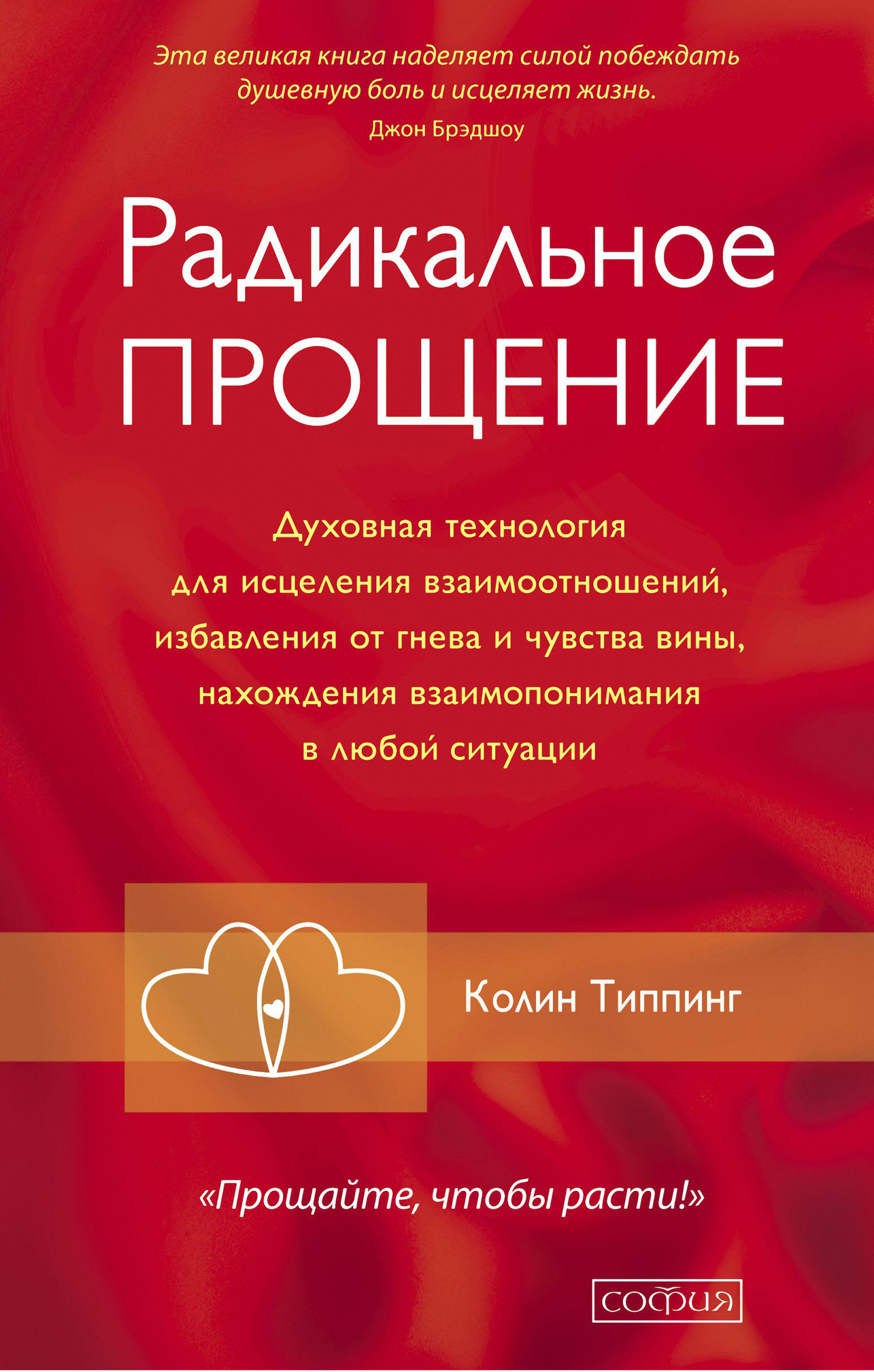 читать Радикальное Прощение. Духовная технология для исцеления взаимоотношений, избавления от гнева и чувства вины, нахождения взаимопонимания в любой ситуации