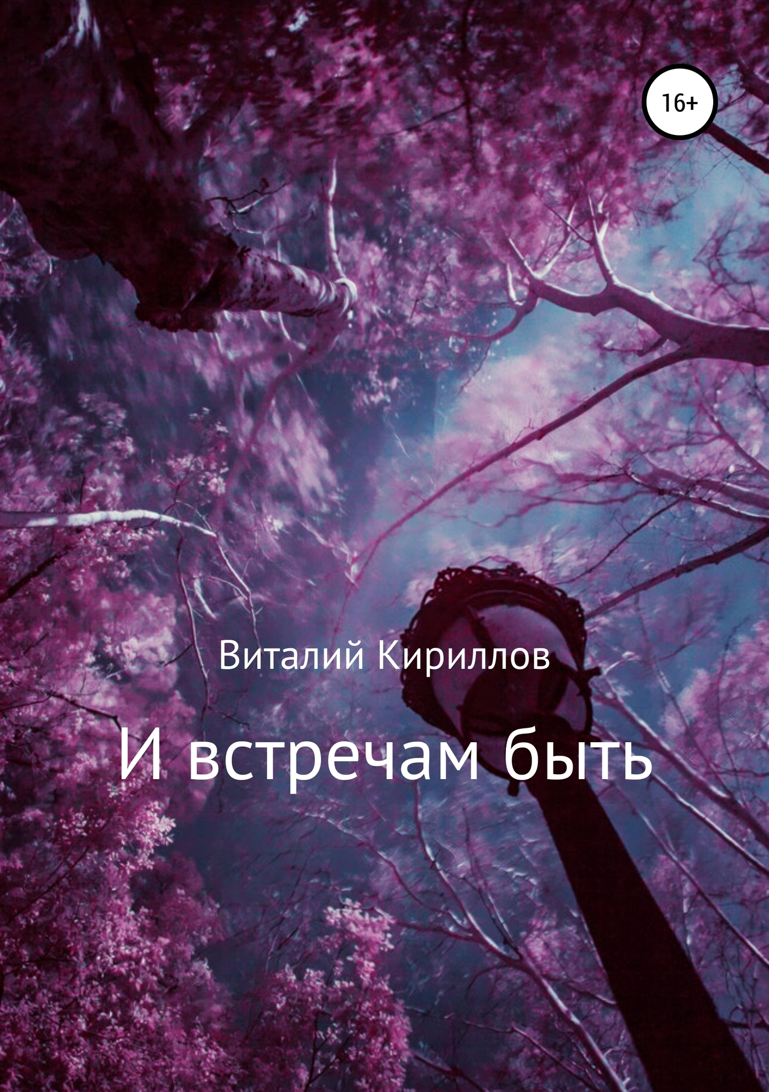 читать И встречам быть. Сборник рассказов