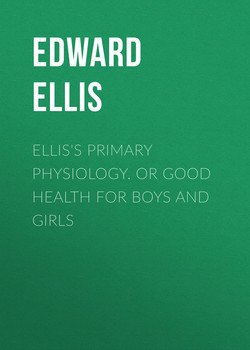 читать Ellis's Primary Physiology. Or Good Health for Boys and Girls