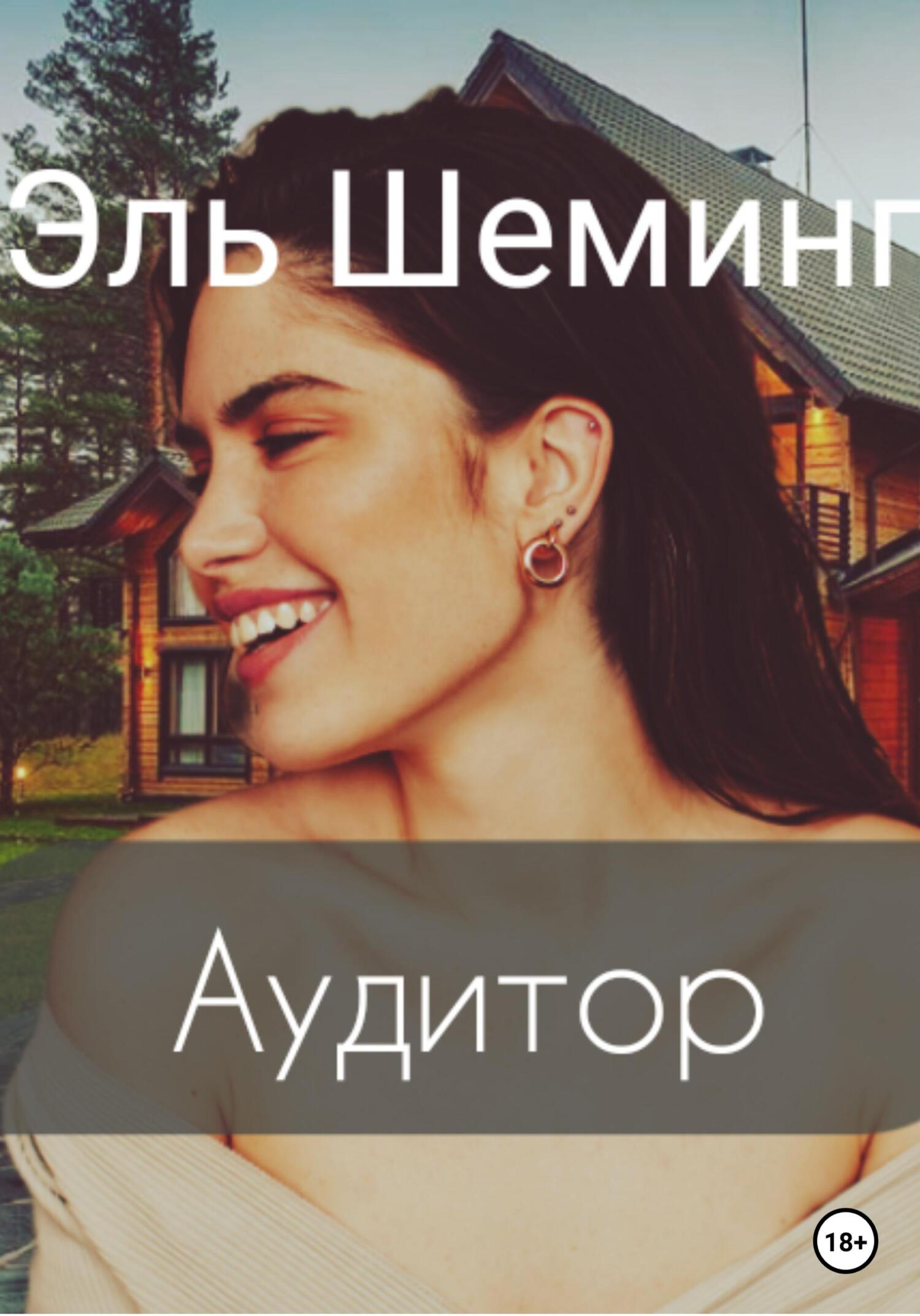 читать Аудитор