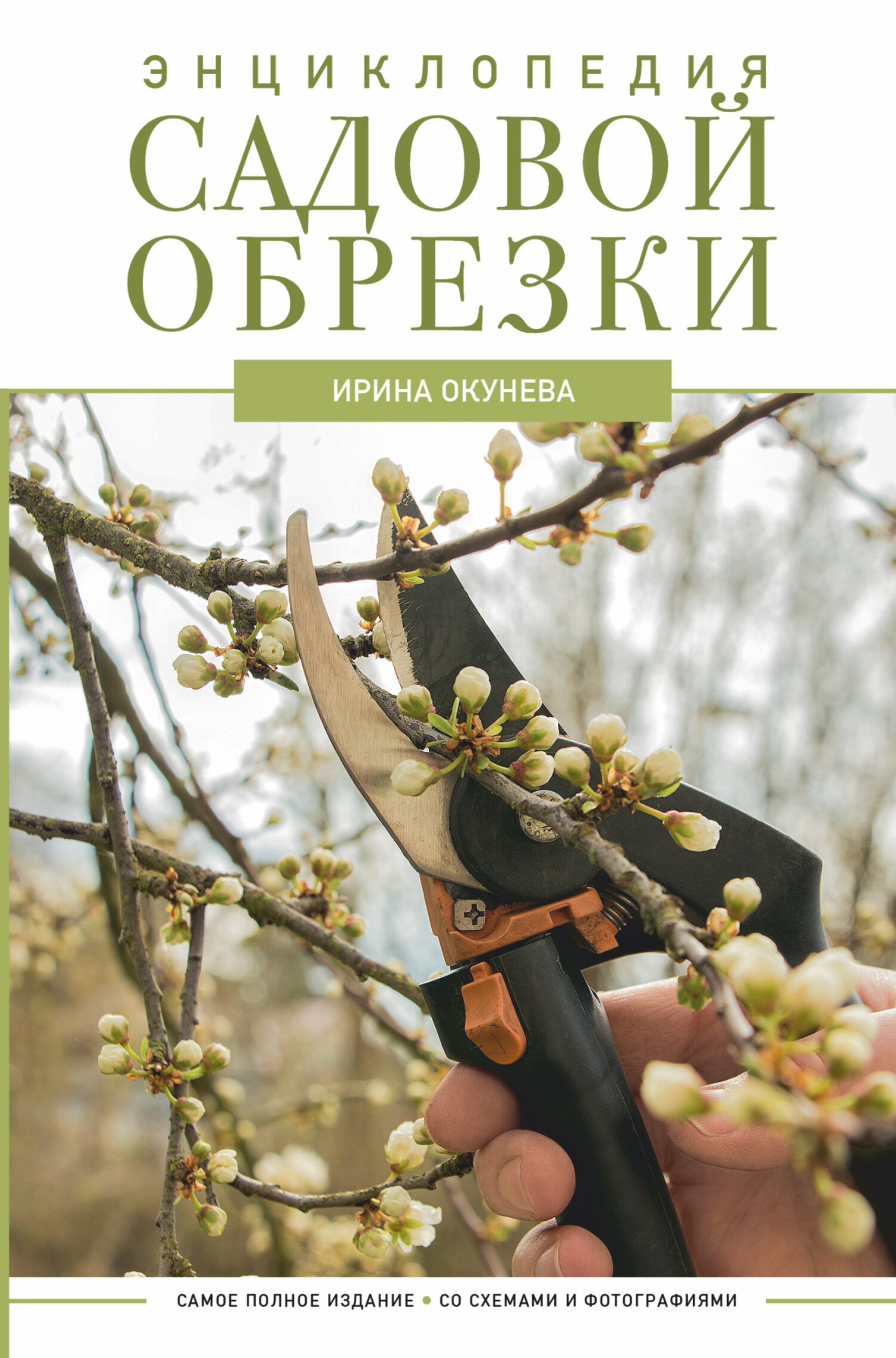 читать Энциклопедия садовой обрезки