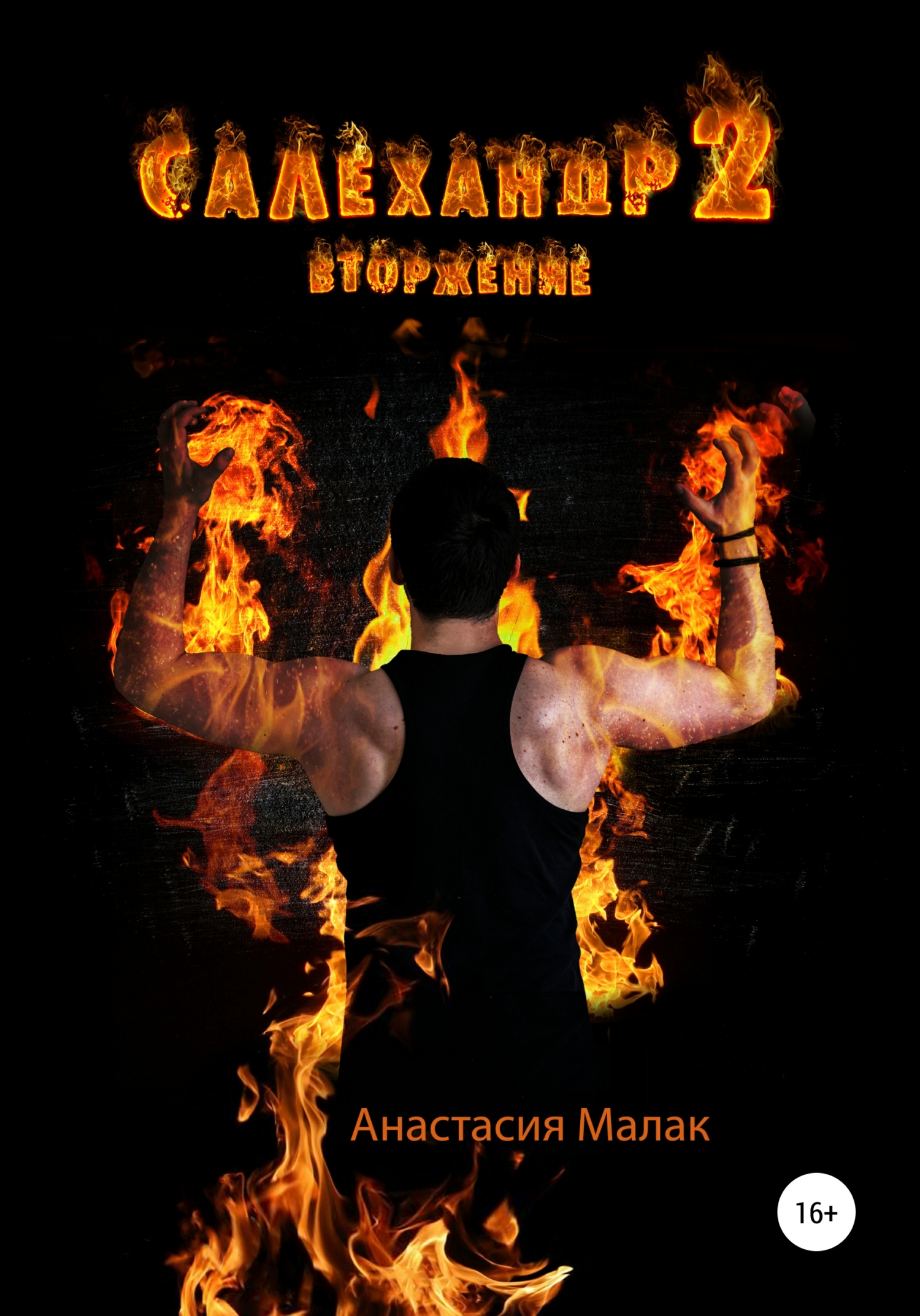 читать Салехандр 2. Вторжение