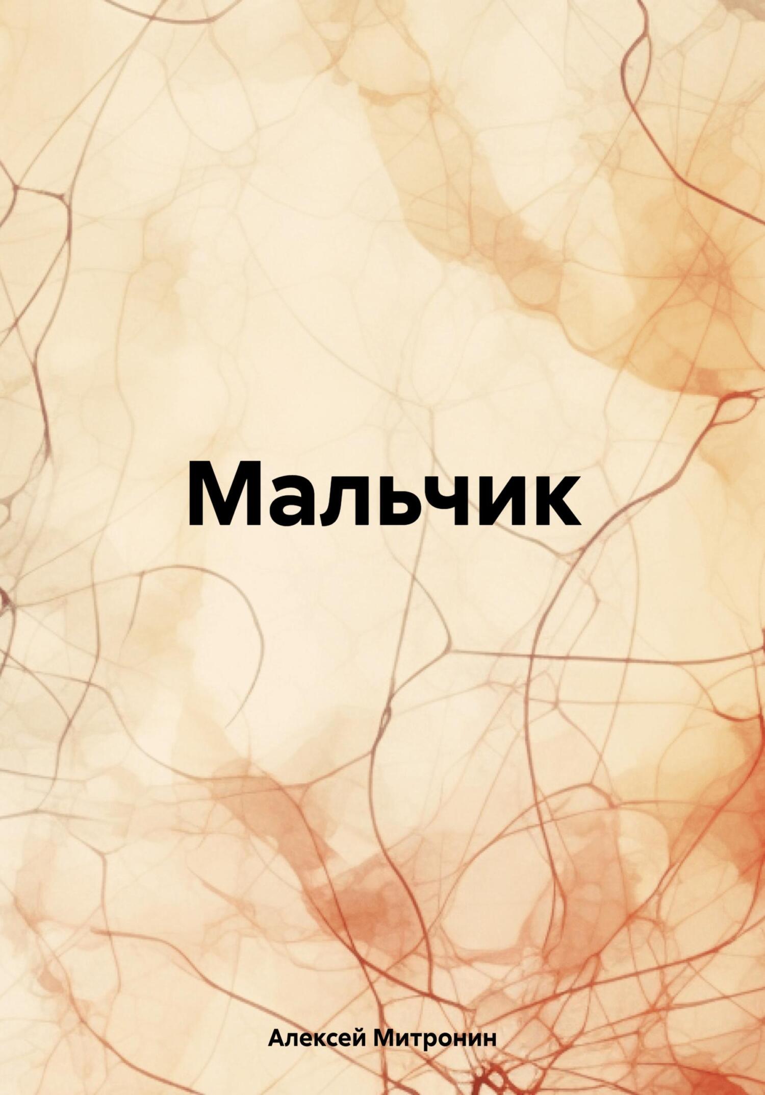 читать Мальчик