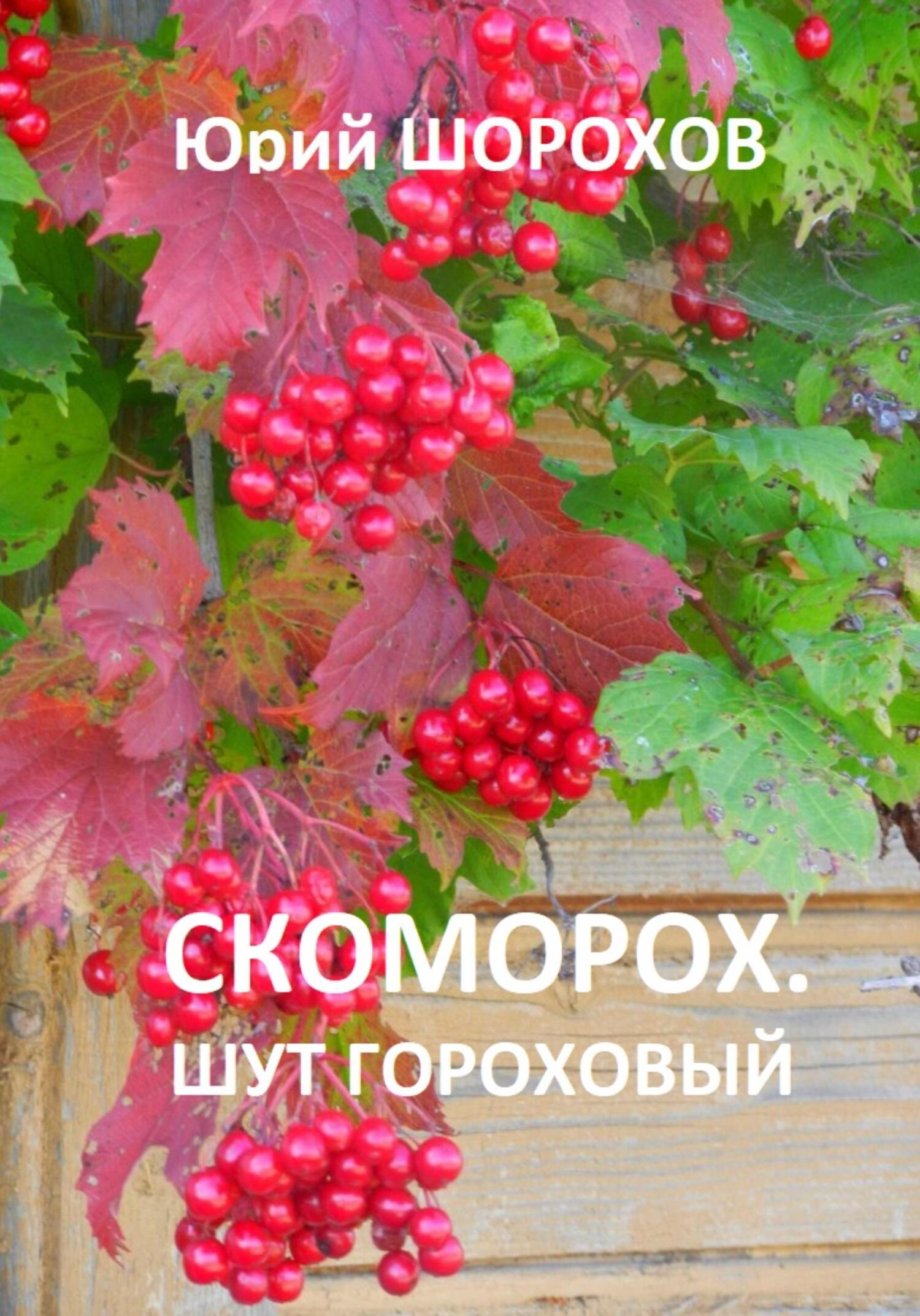 читать Скоморох. Шут гороховый