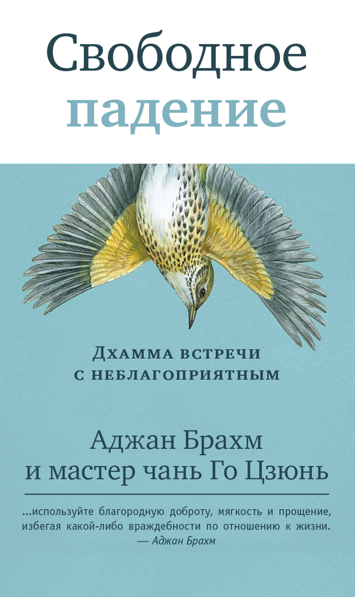 читать Свободное падение. Дхамма встречи с неблагоприятным