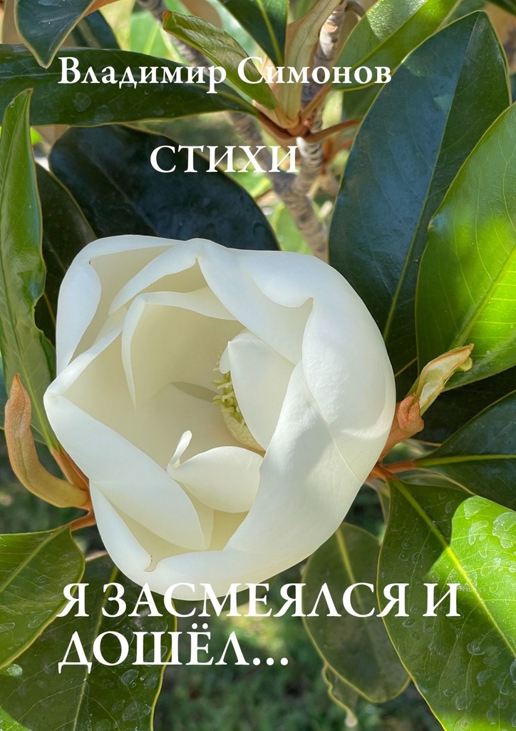 читать Я засмеялся и дошёл… Стихи