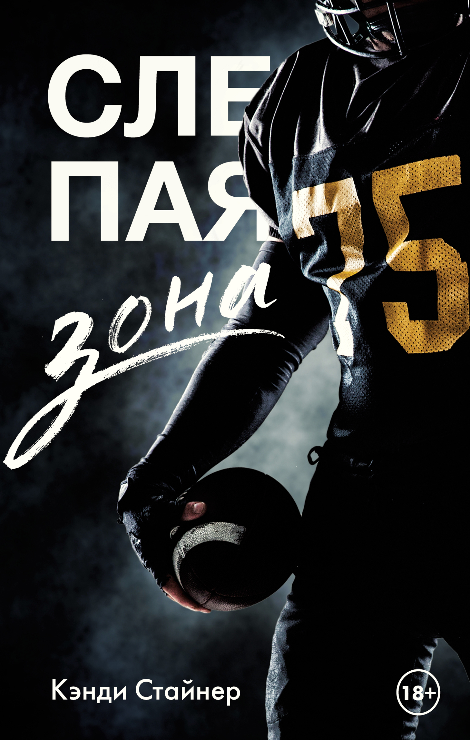 читать Слепая зона