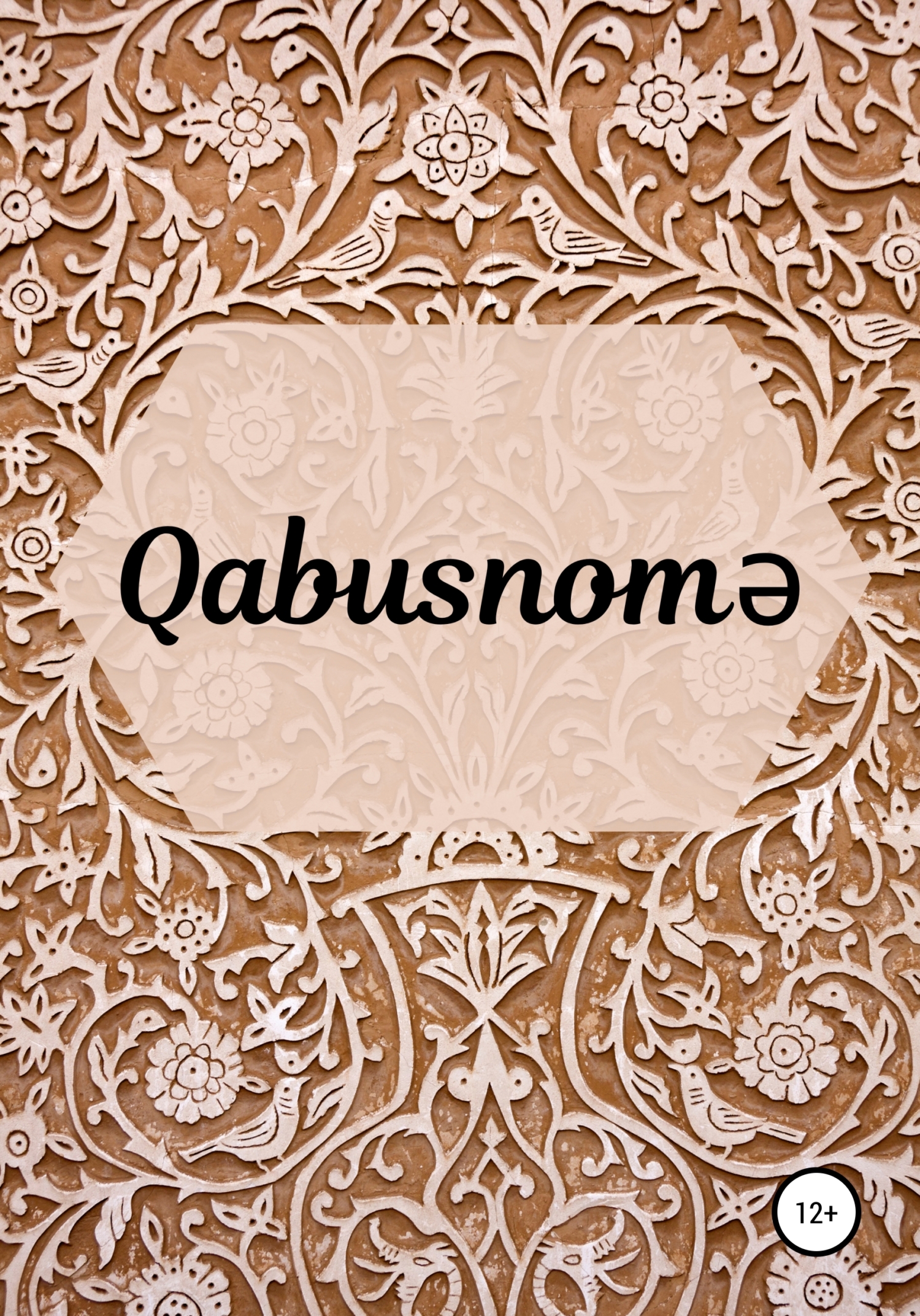 читать Qabusnomə