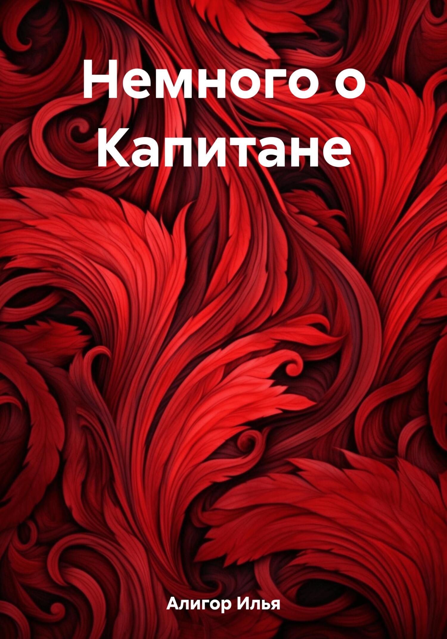 читать Немного о Капитане