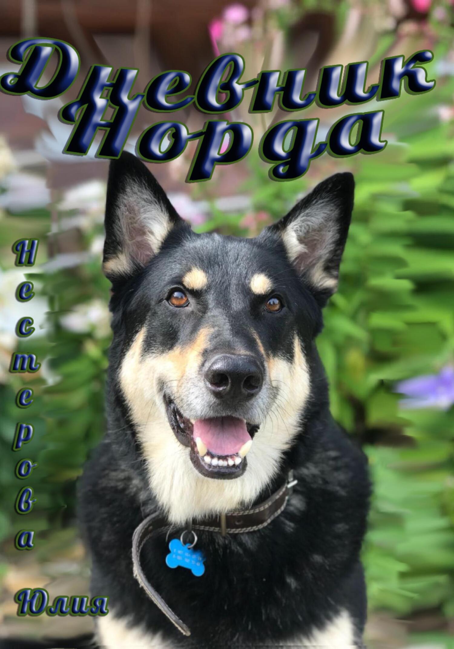 читать Дневник Норда