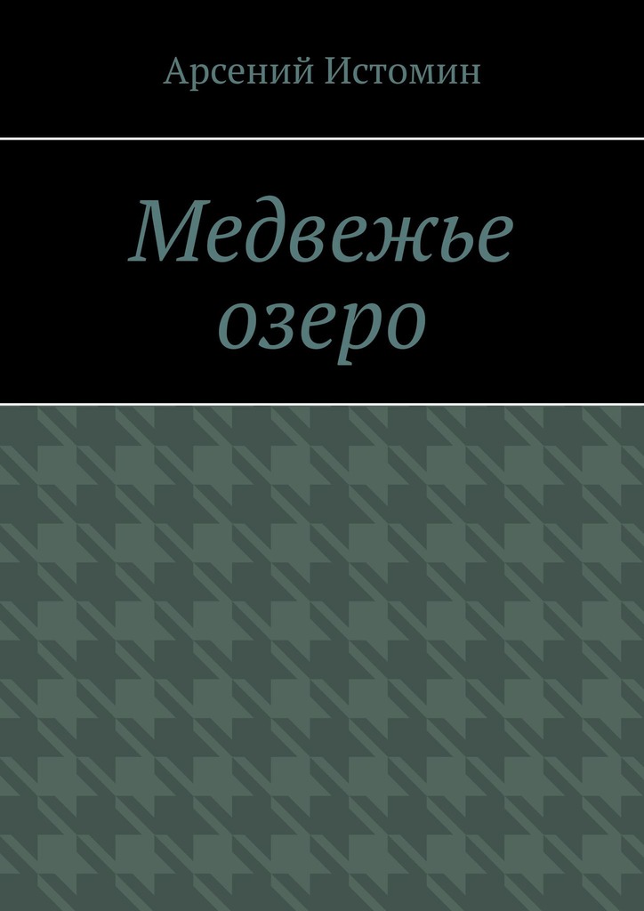 читать Медвежье озеро. Никто не вернётся домой