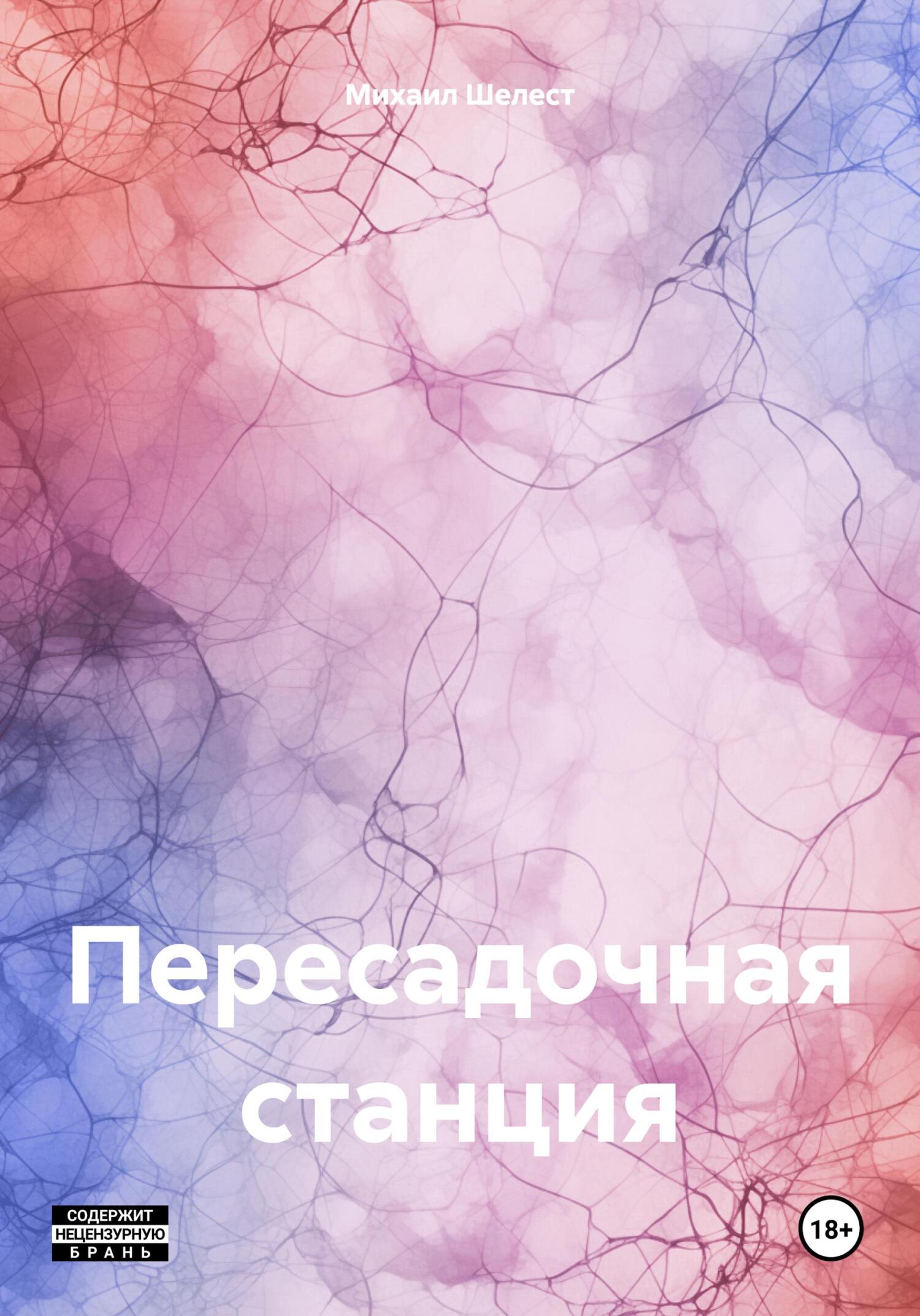 читать Пересадочная станция