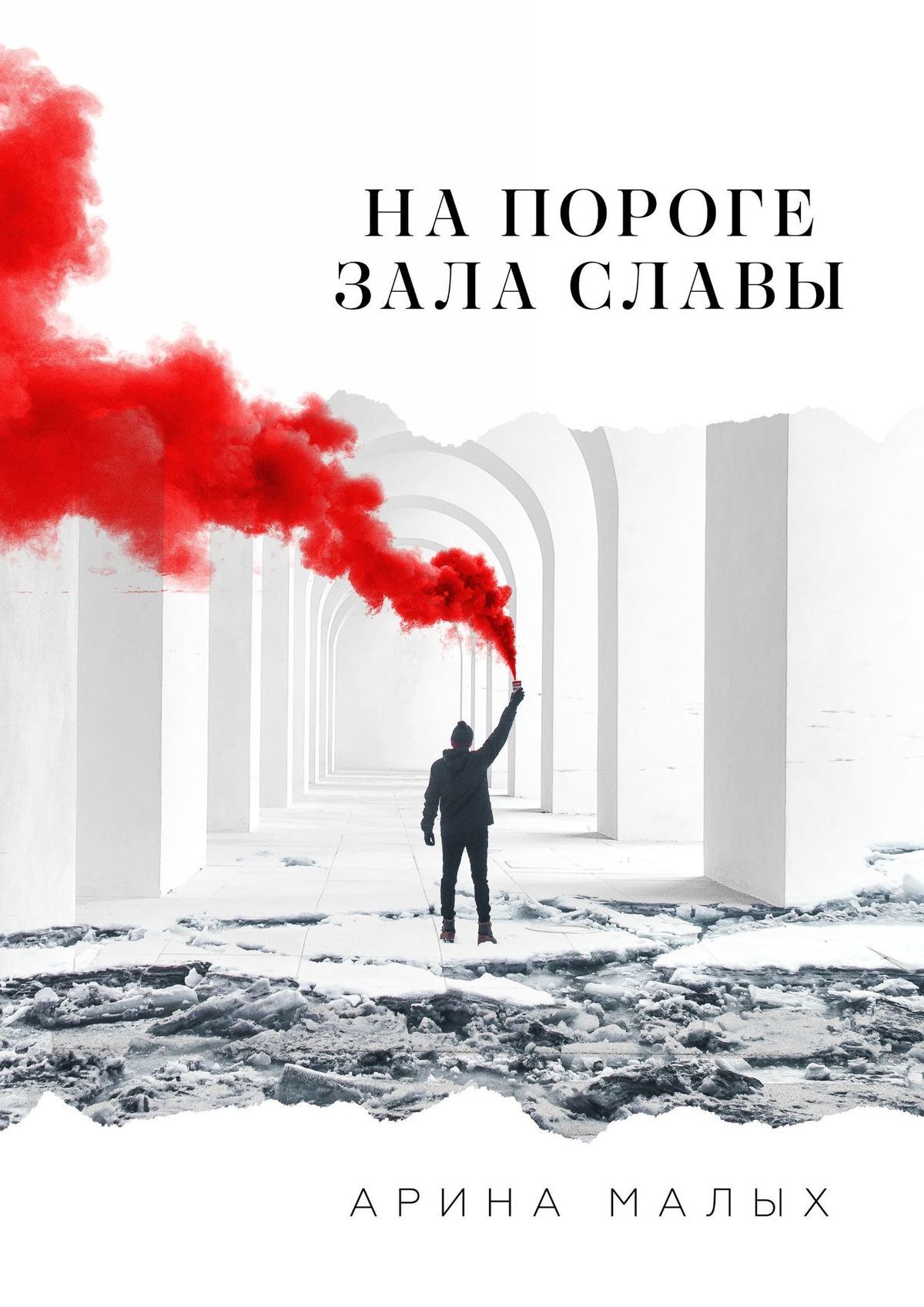 читать На пороге зала славы. Грани жизни