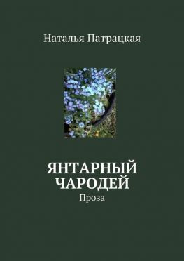 читать Янтарный чародей. Проза