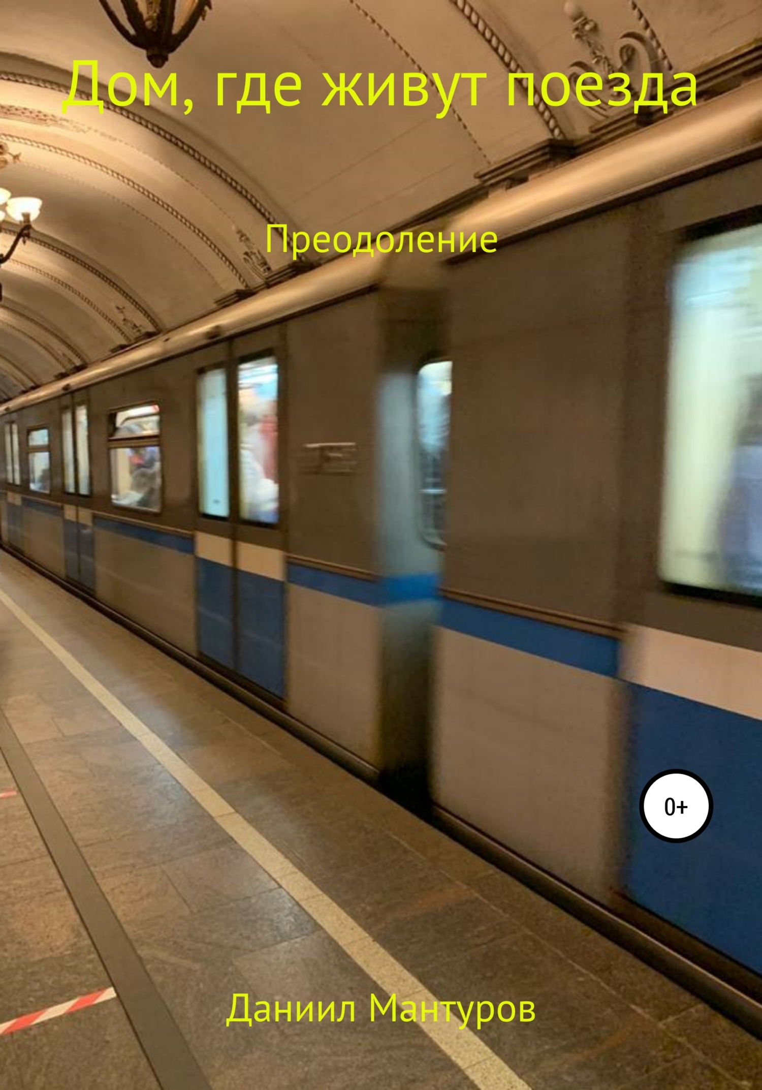 читать Дом, где живут поезда