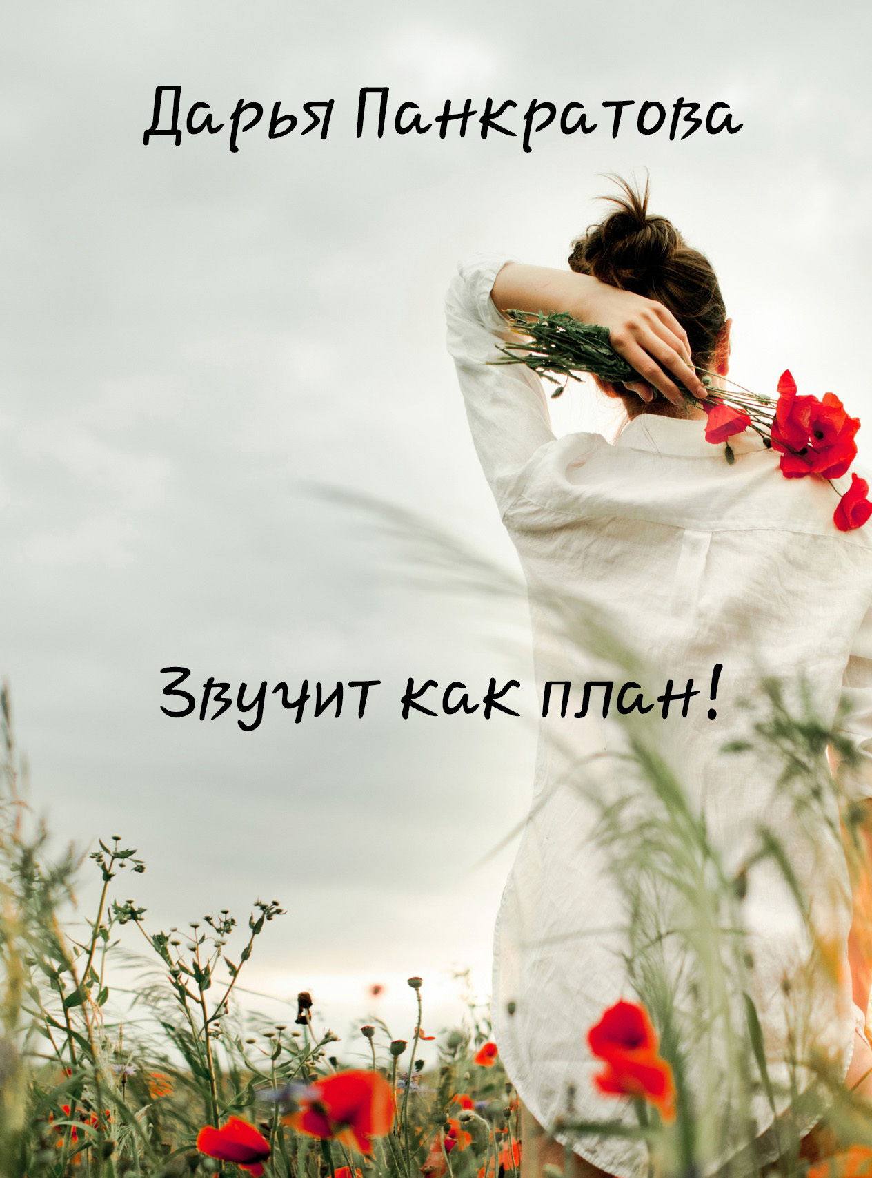 читать Звучит как план