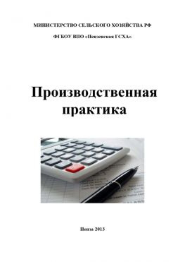 читать Производственная практика по бухгалтерскому учету
