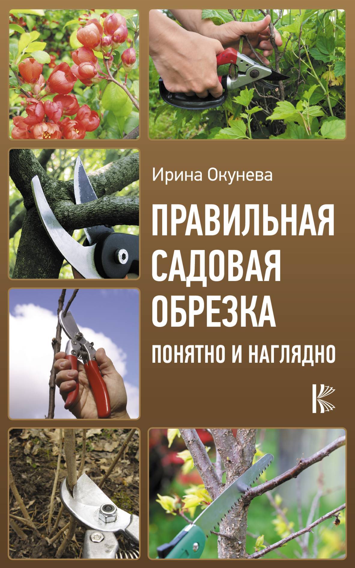 читать Правильная садовая обрезка: понятно и наглядно