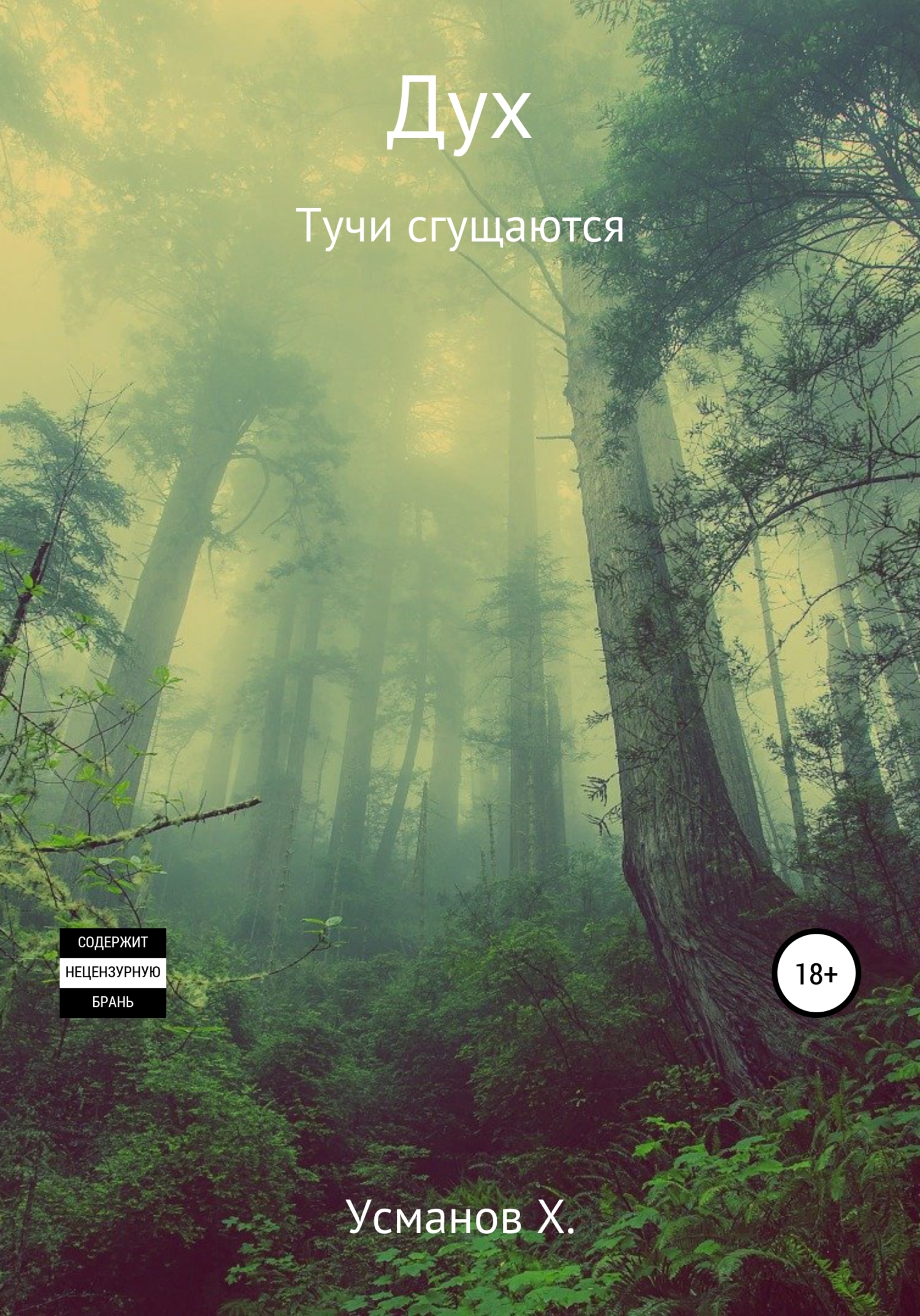 читать Дух. Тучи сгущаются