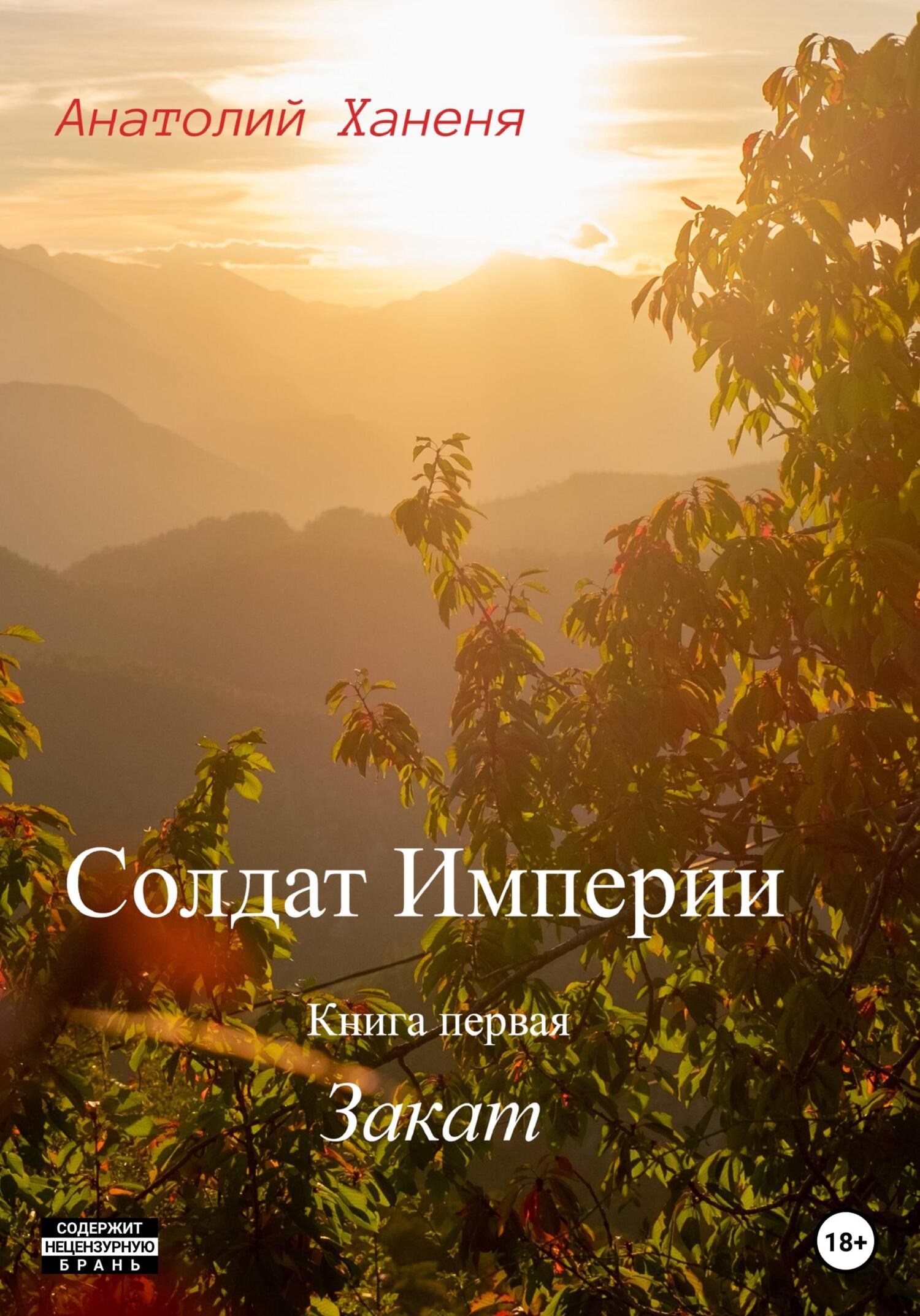 читать Солдат Империи. Книга первая. Закат