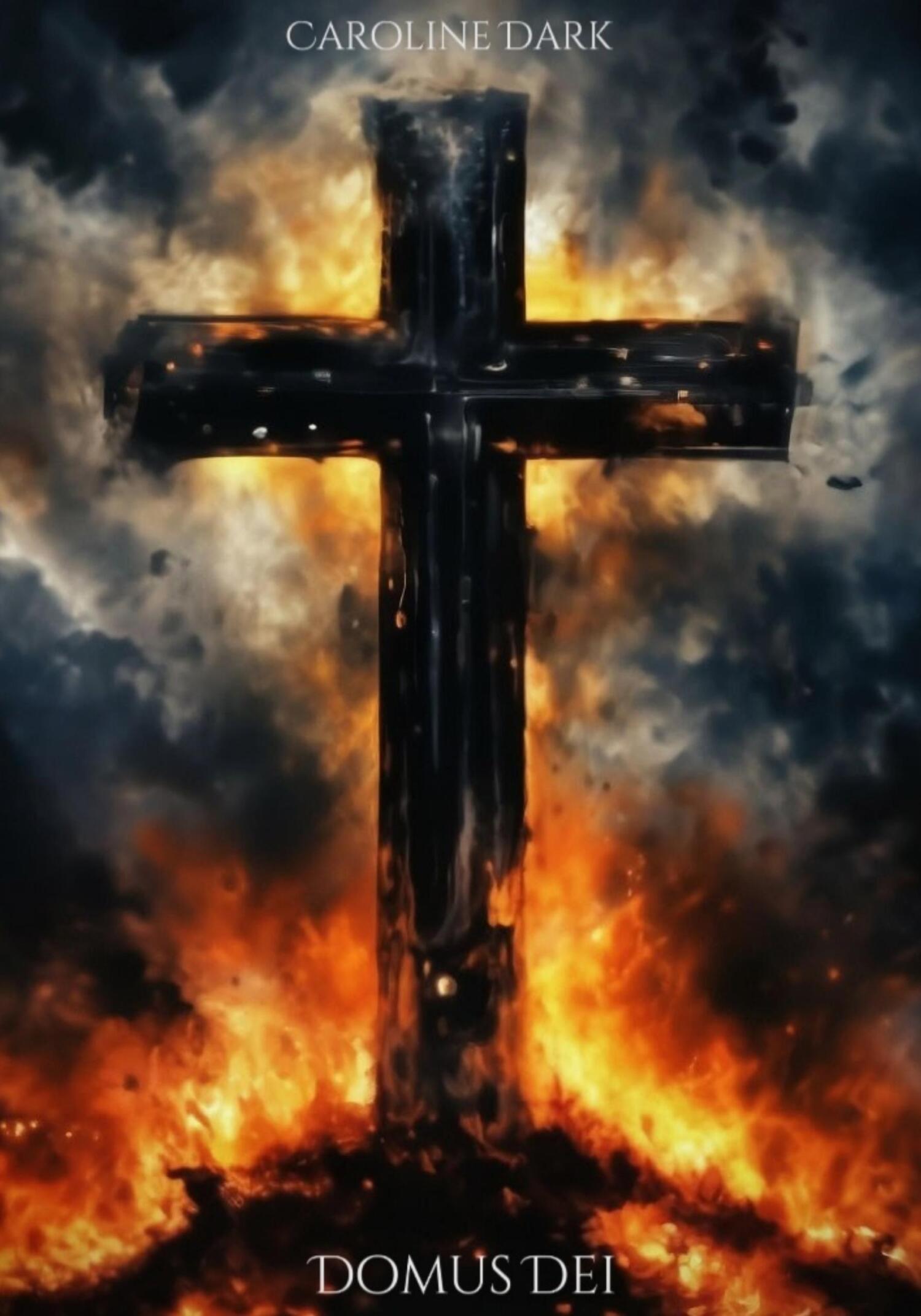 читать Domus Dei