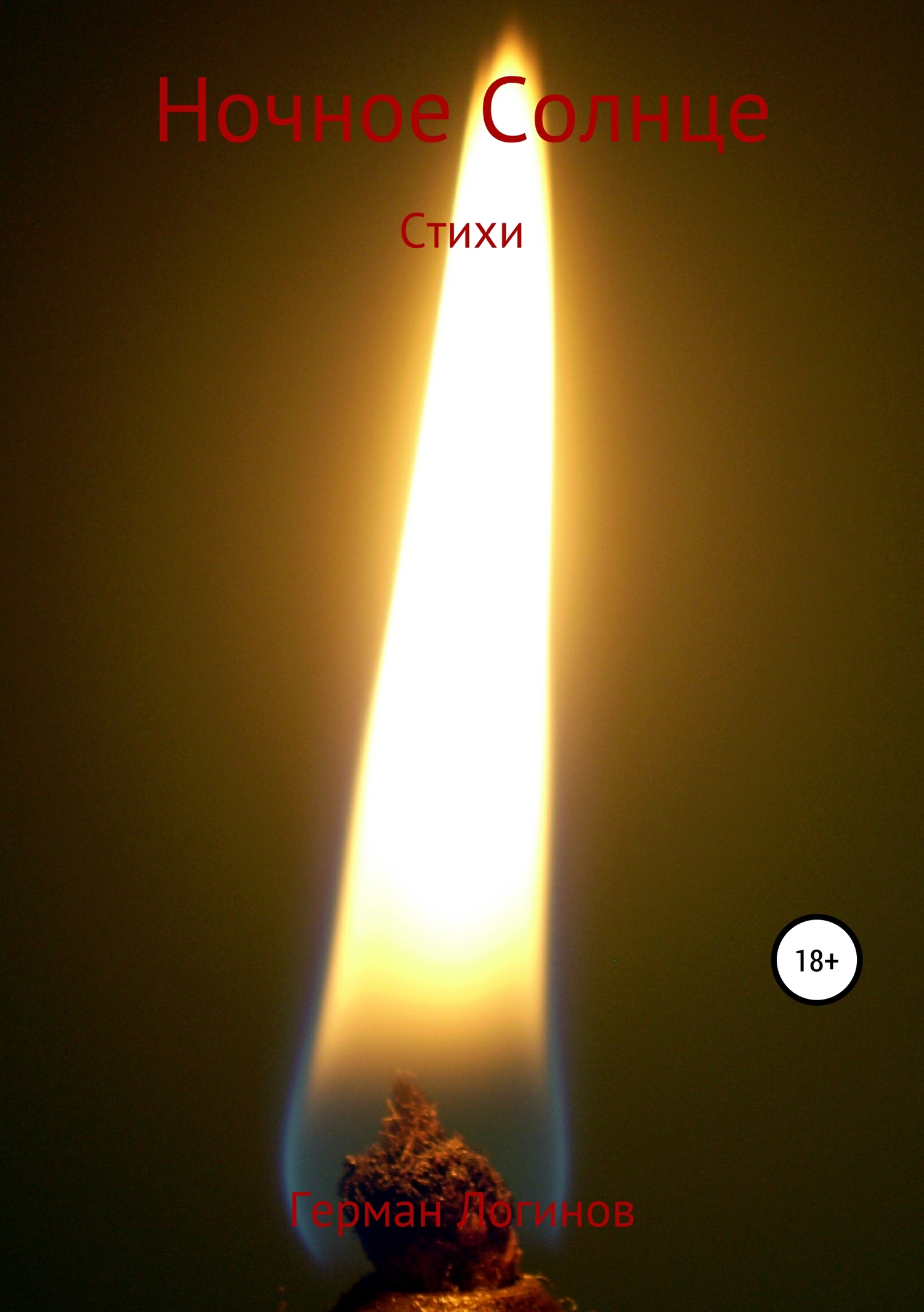 читать Ночное Солнце