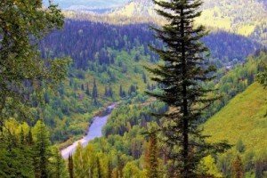 читать Третья книга. Пришельцы из неизвестно откуда в известно когда. Первая часть. Аврал и Размах