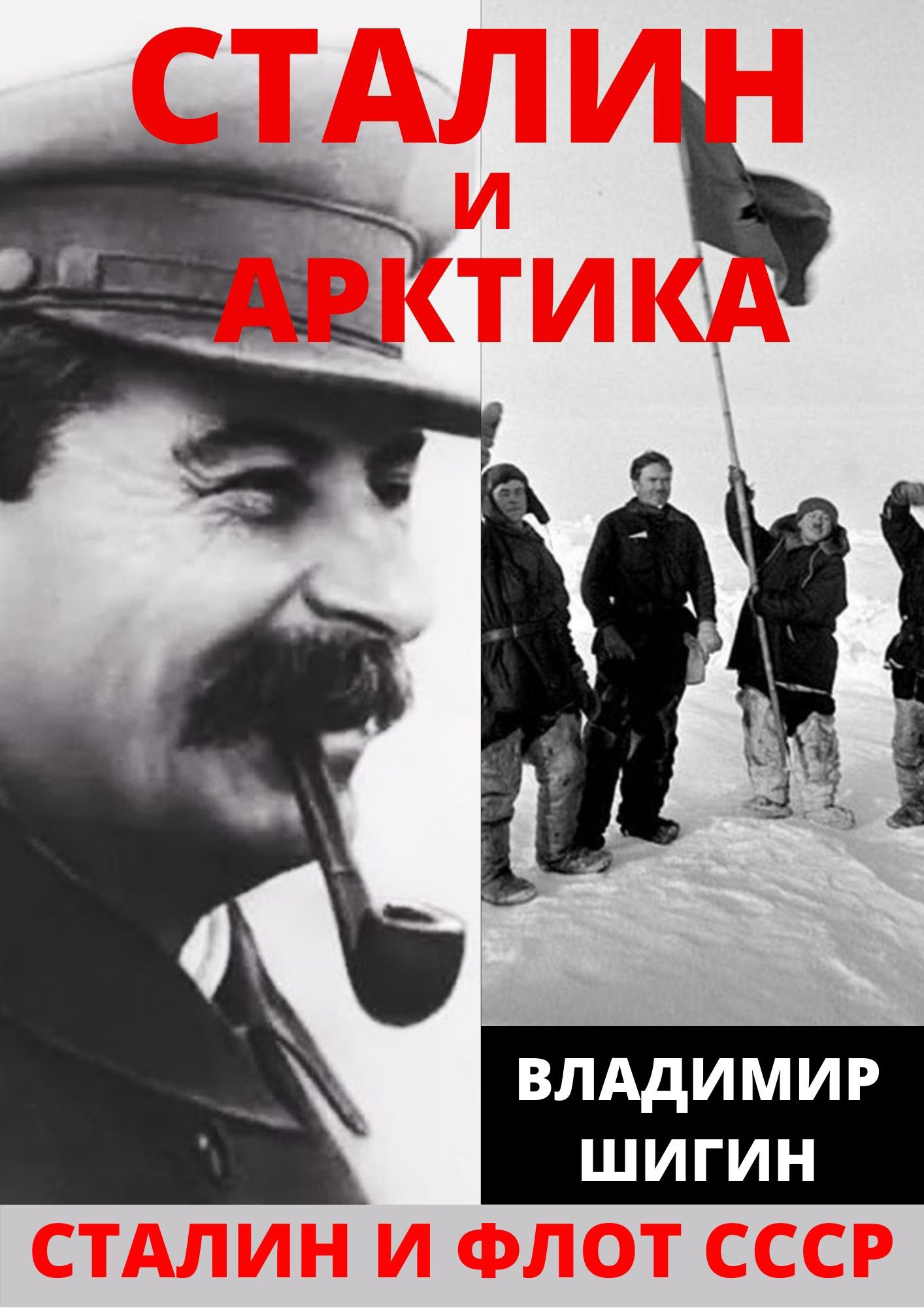 читать Сталин и Арктика