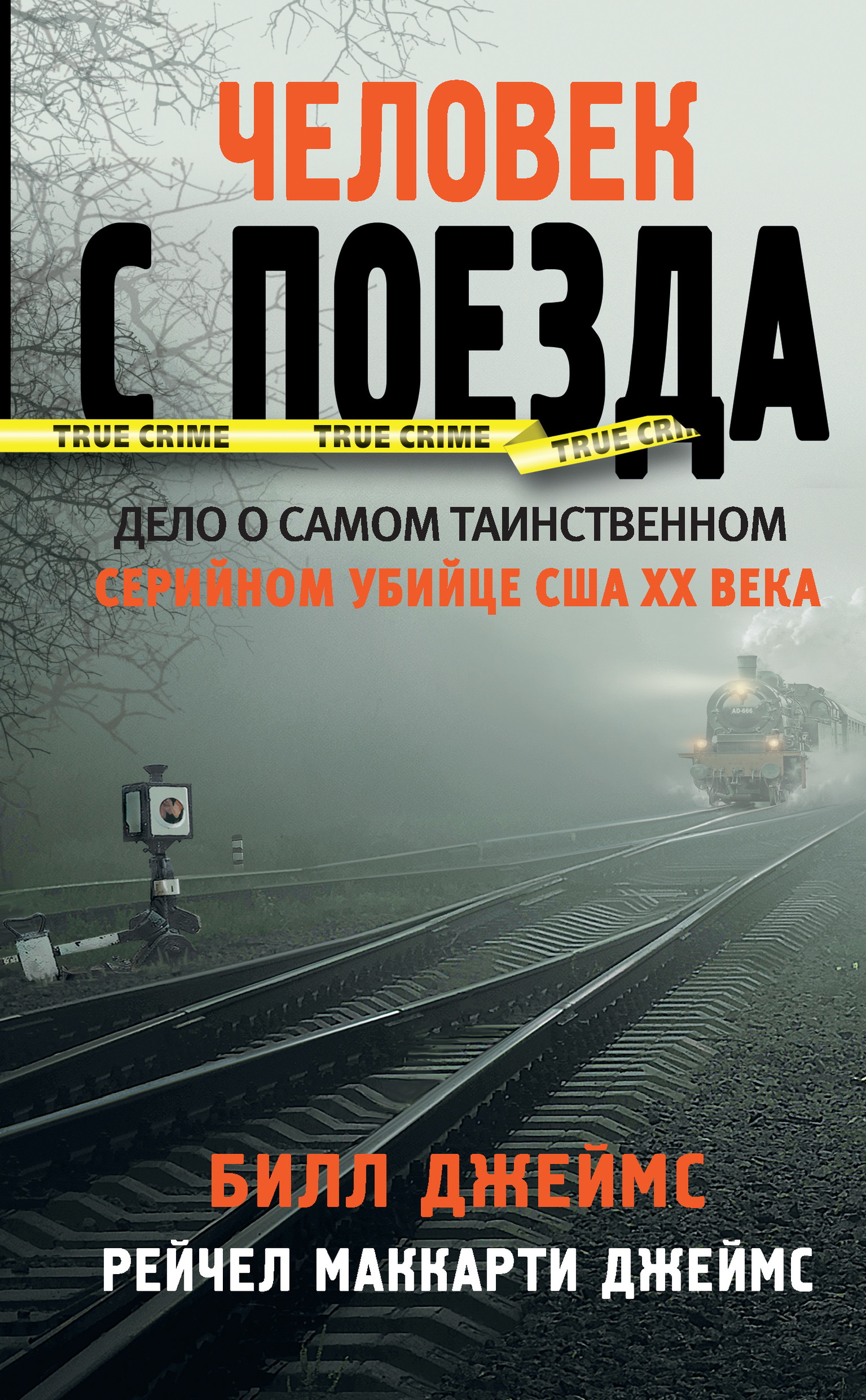 читать Человек с поезда