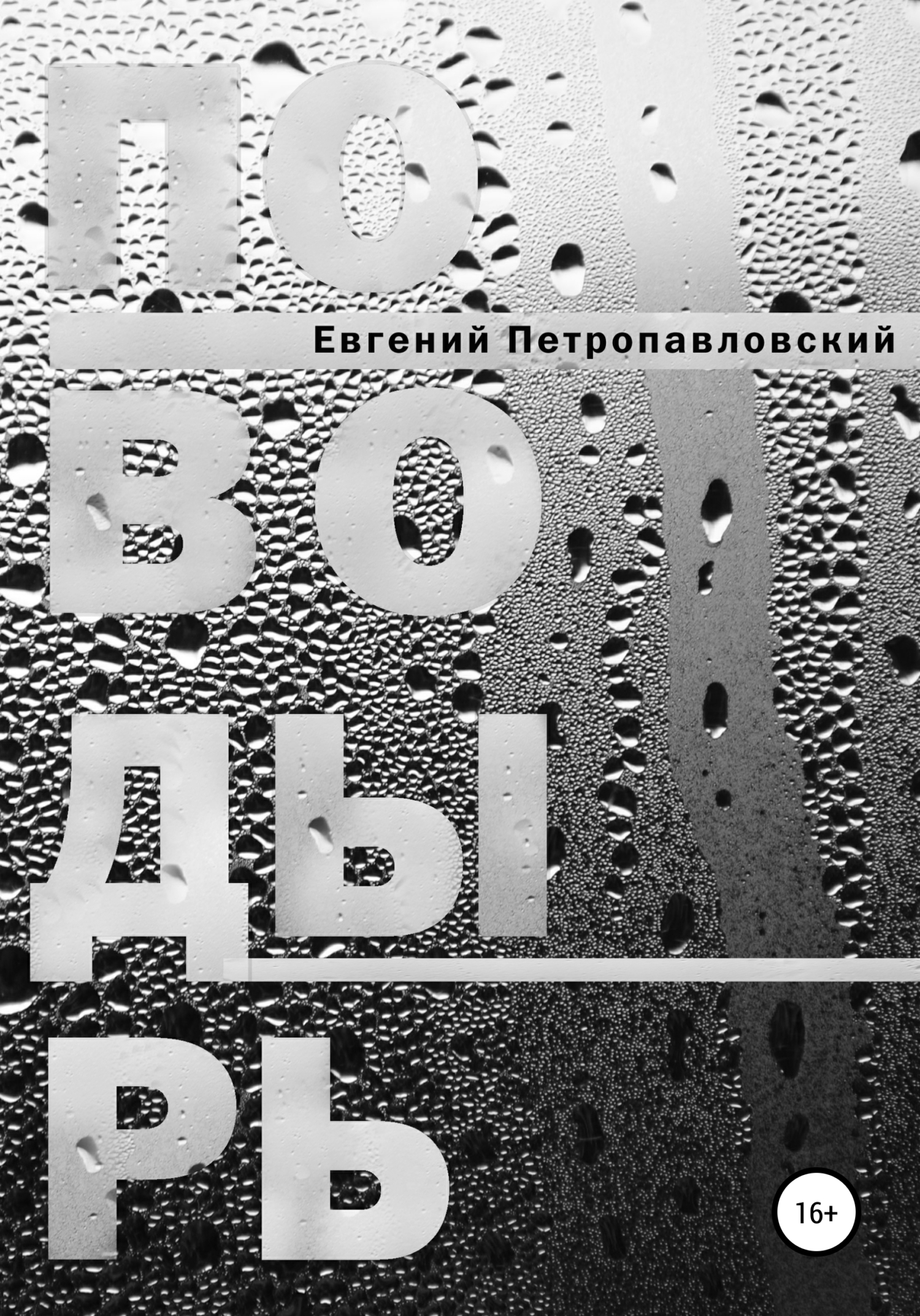 читать Поводырь