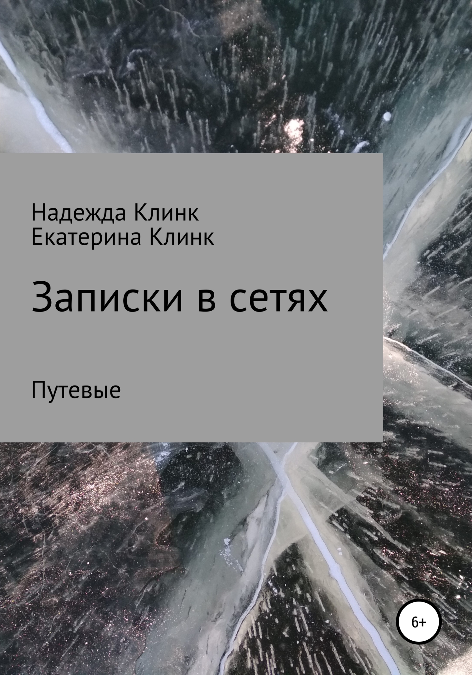 читать Записки в сетях. Путевые
