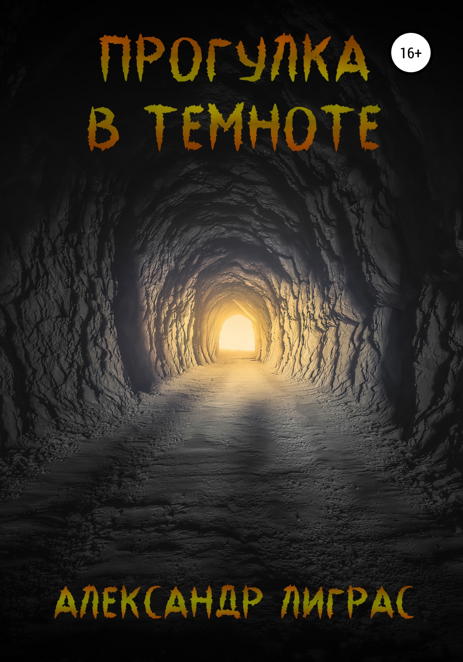 читать Прогулка в темноте