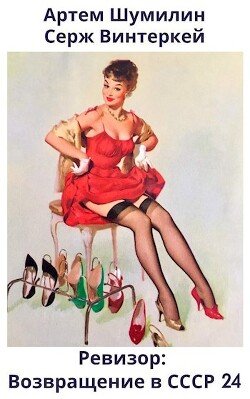 читать Ревизор: возвращение в СССР 24