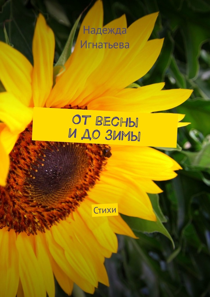 читать От весны и до зимы. Стихи