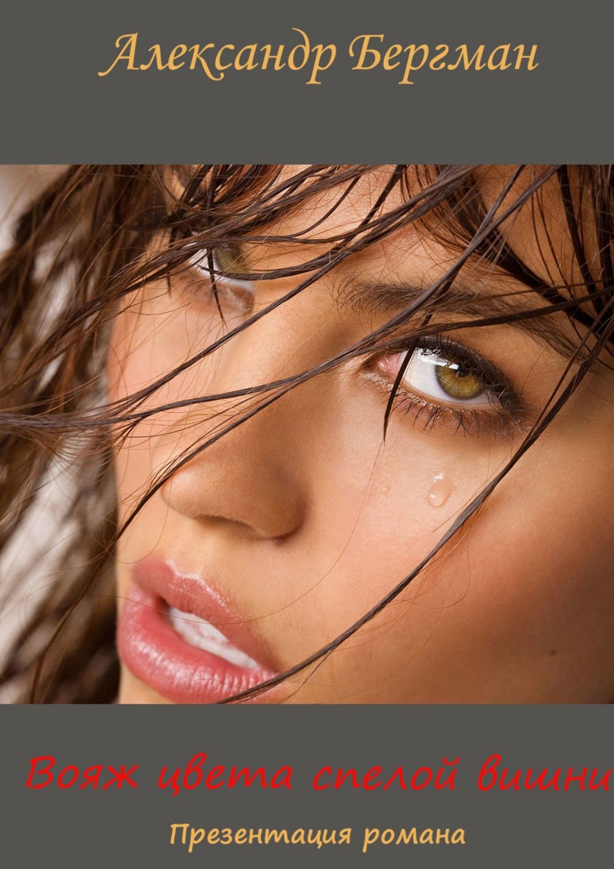 читать Вояж цвета спелой вишни (презентация романа)