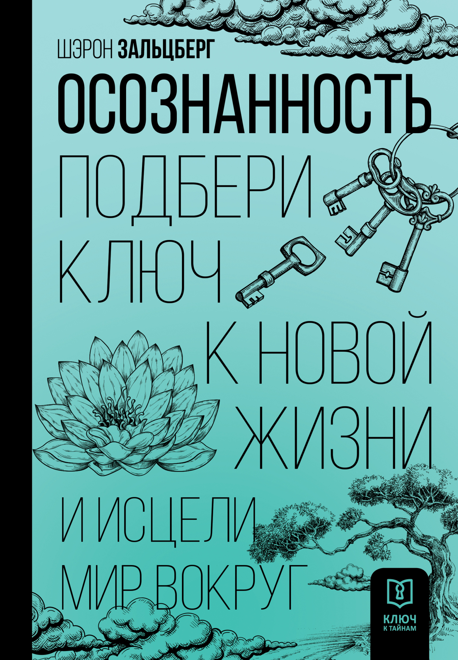 читать Осознанность. Подбери ключ к новой жизни и исцели мир вокруг