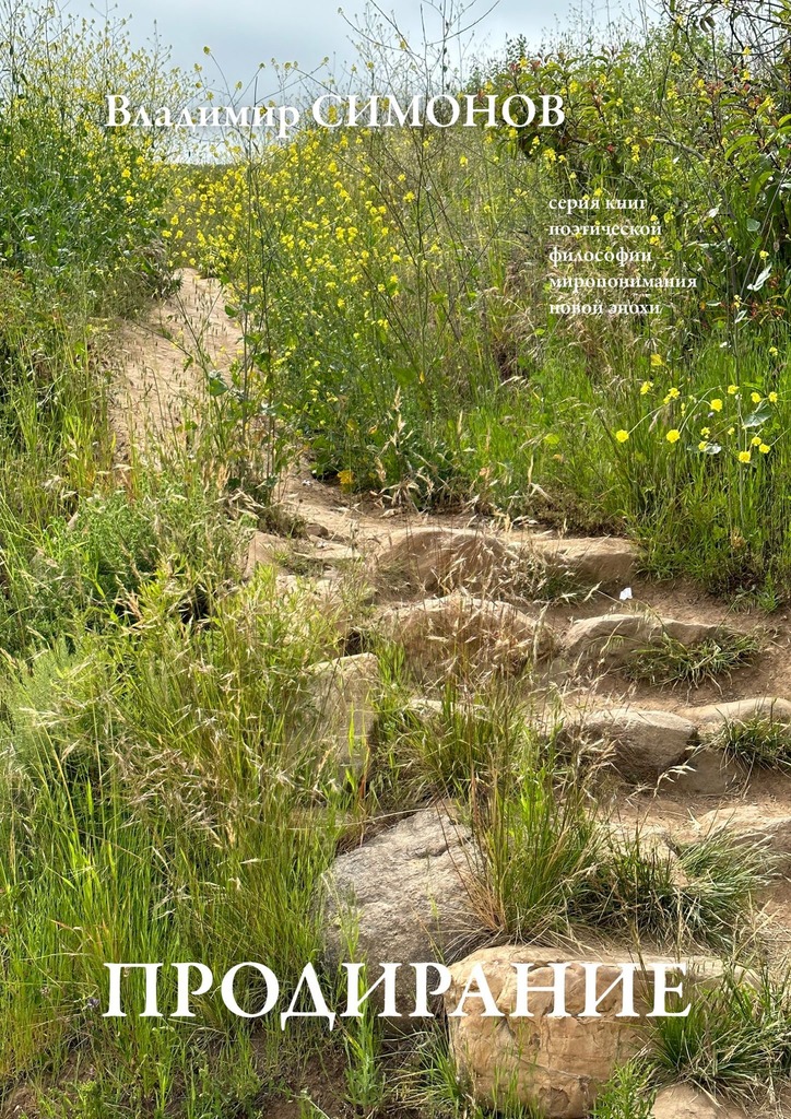 читать Продирание. Серия книг поэтической философии миропонимания новой эпохи