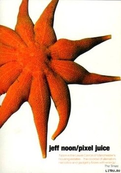 читать Pixel Juice