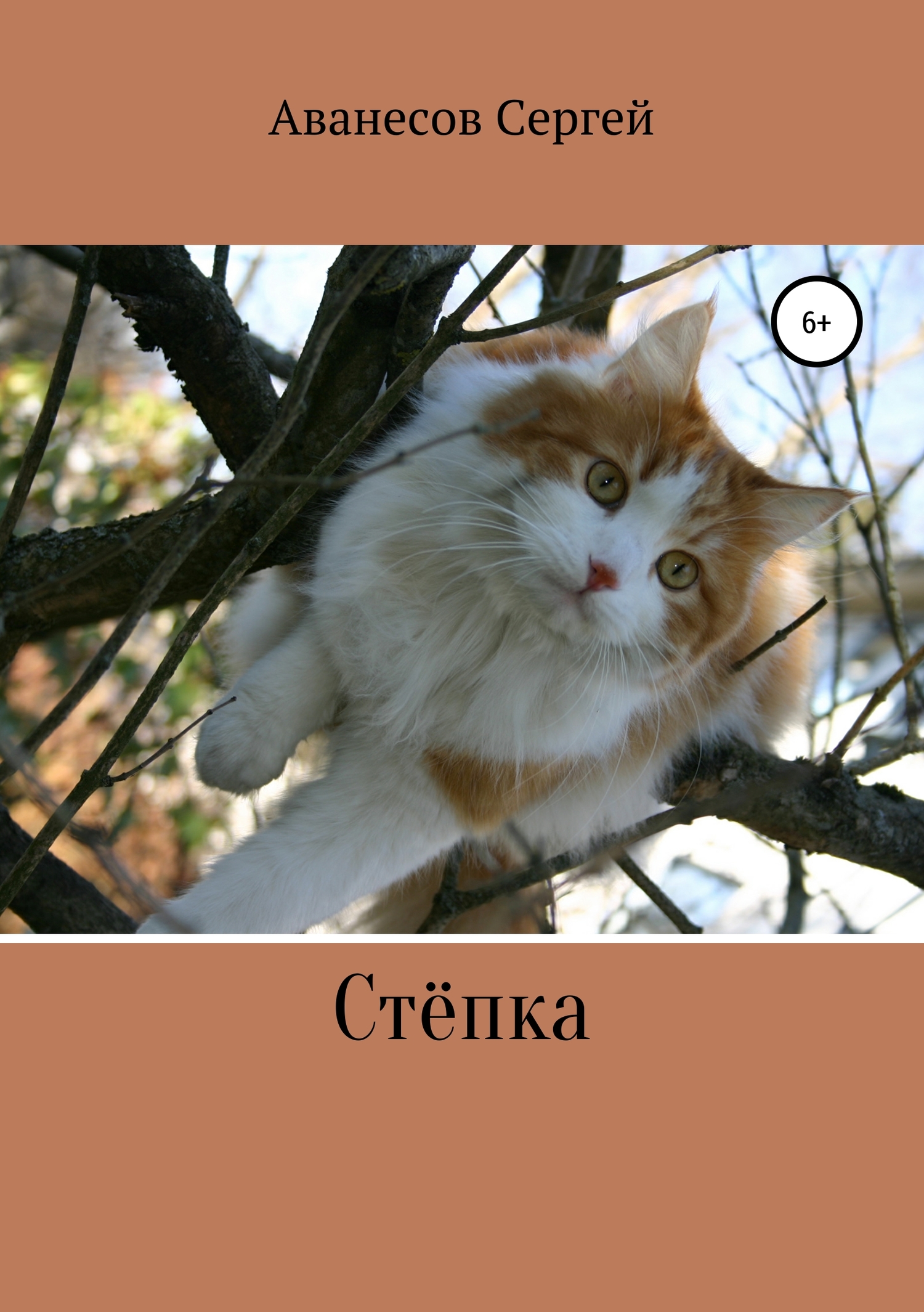 читать Степка