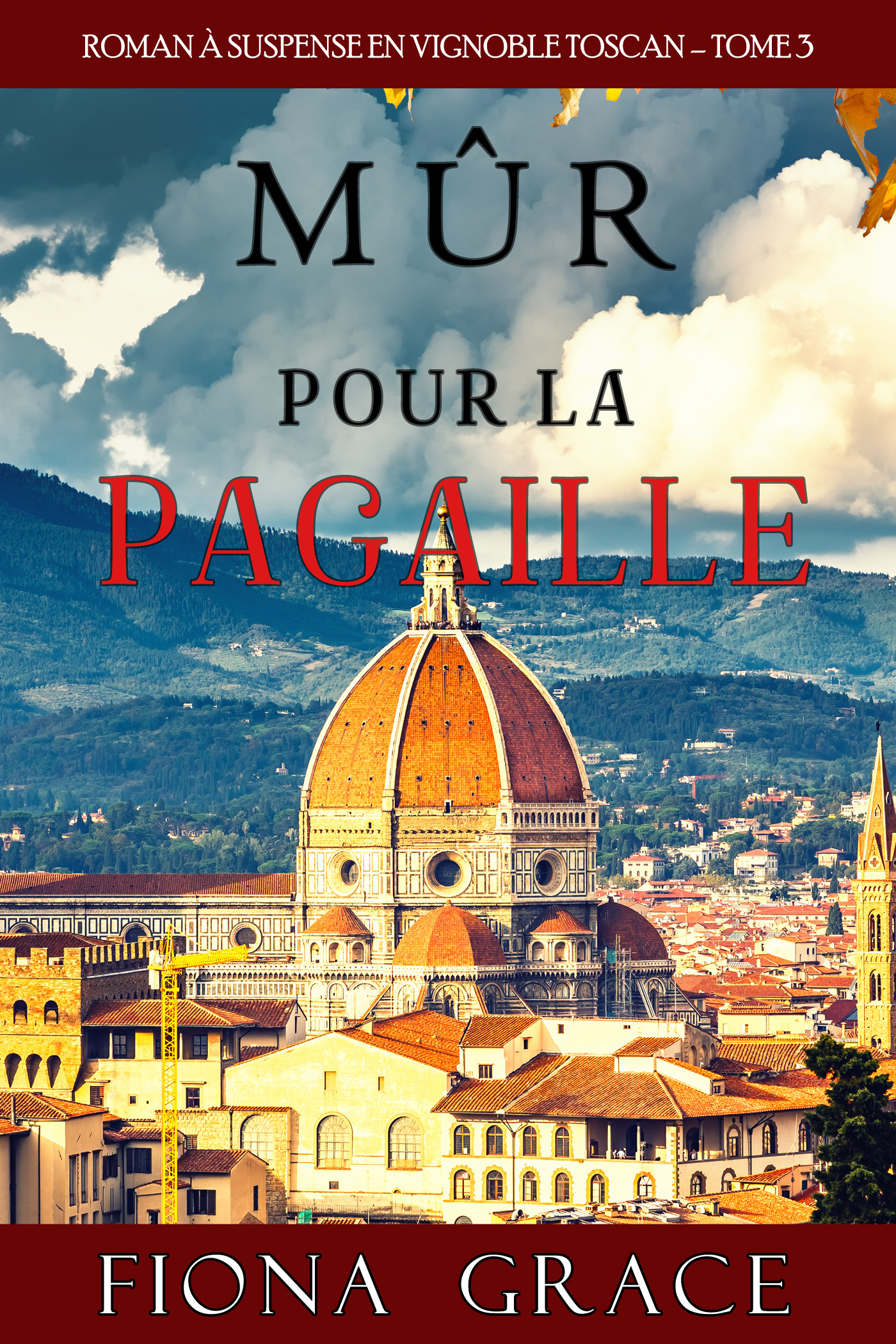 читать Mûr pour la Pagaille