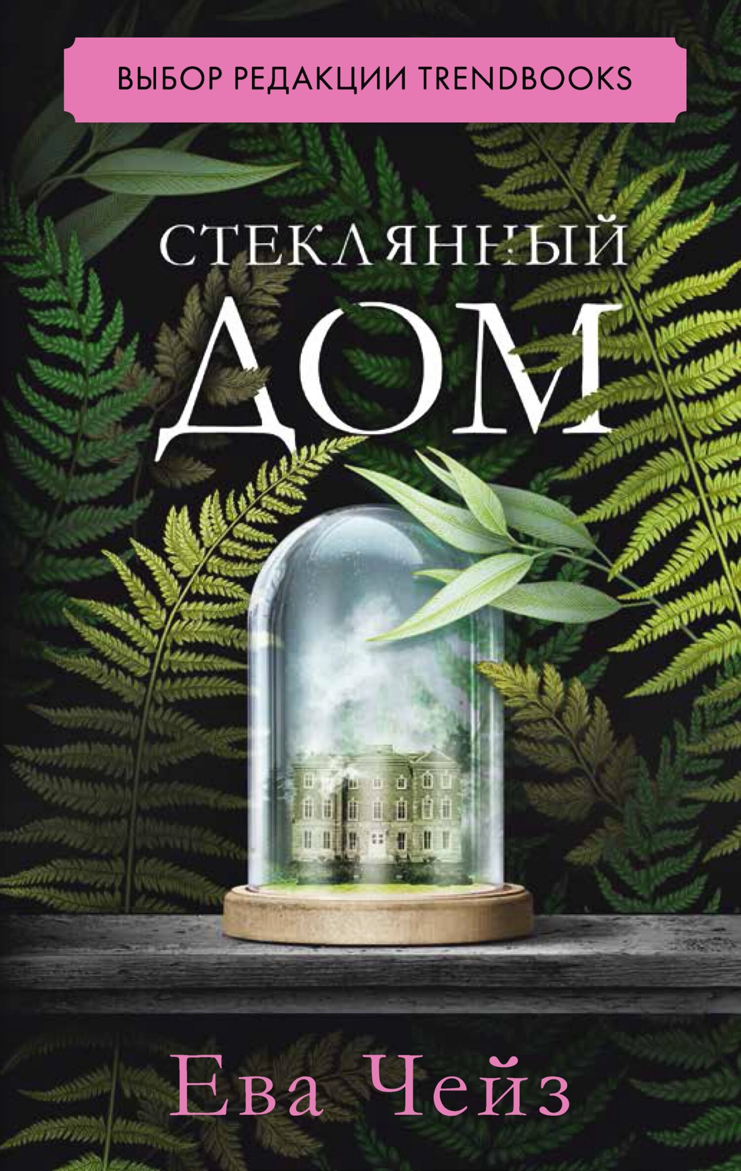 читать Стеклянный дом