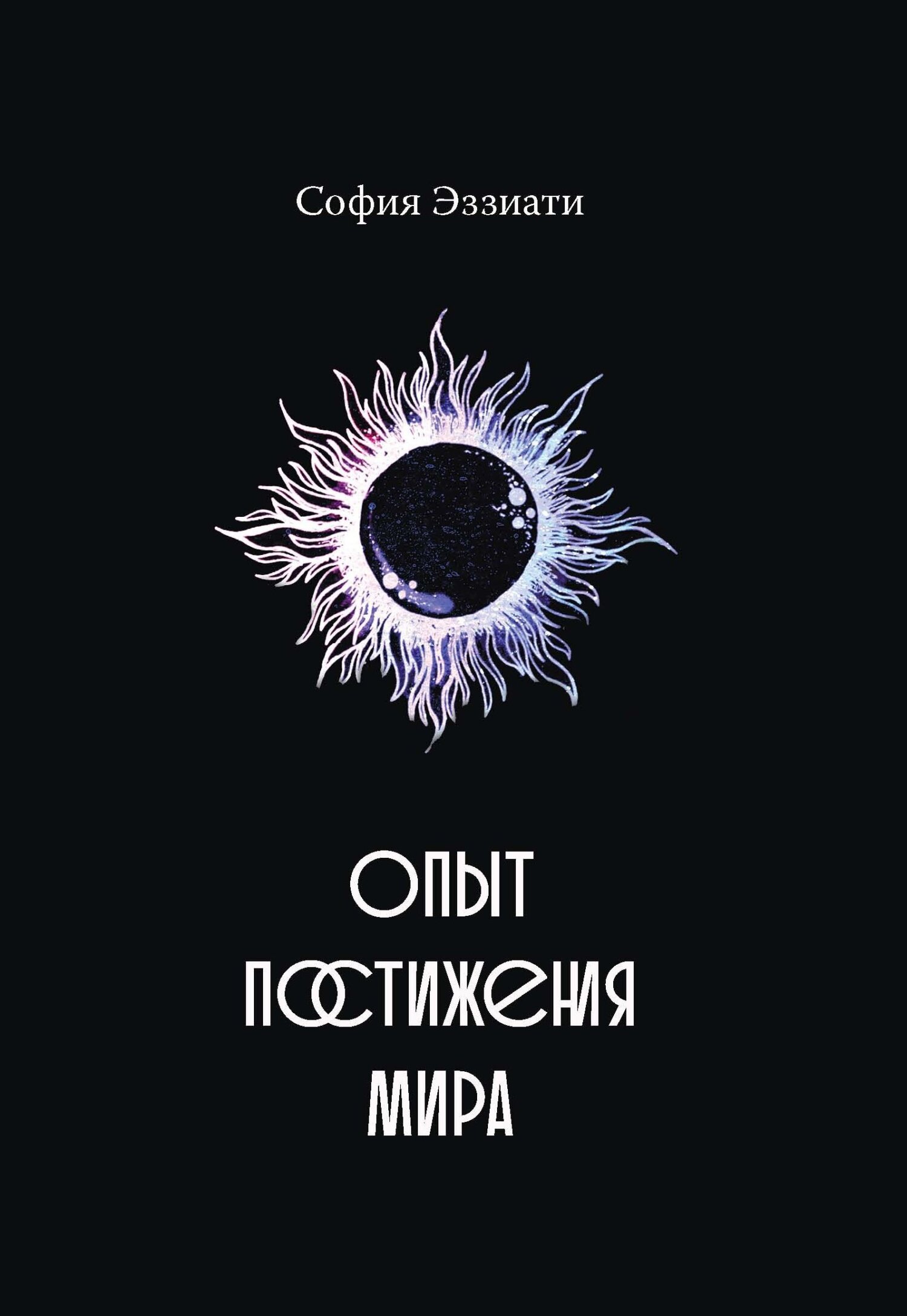 читать Опыт постижения мира