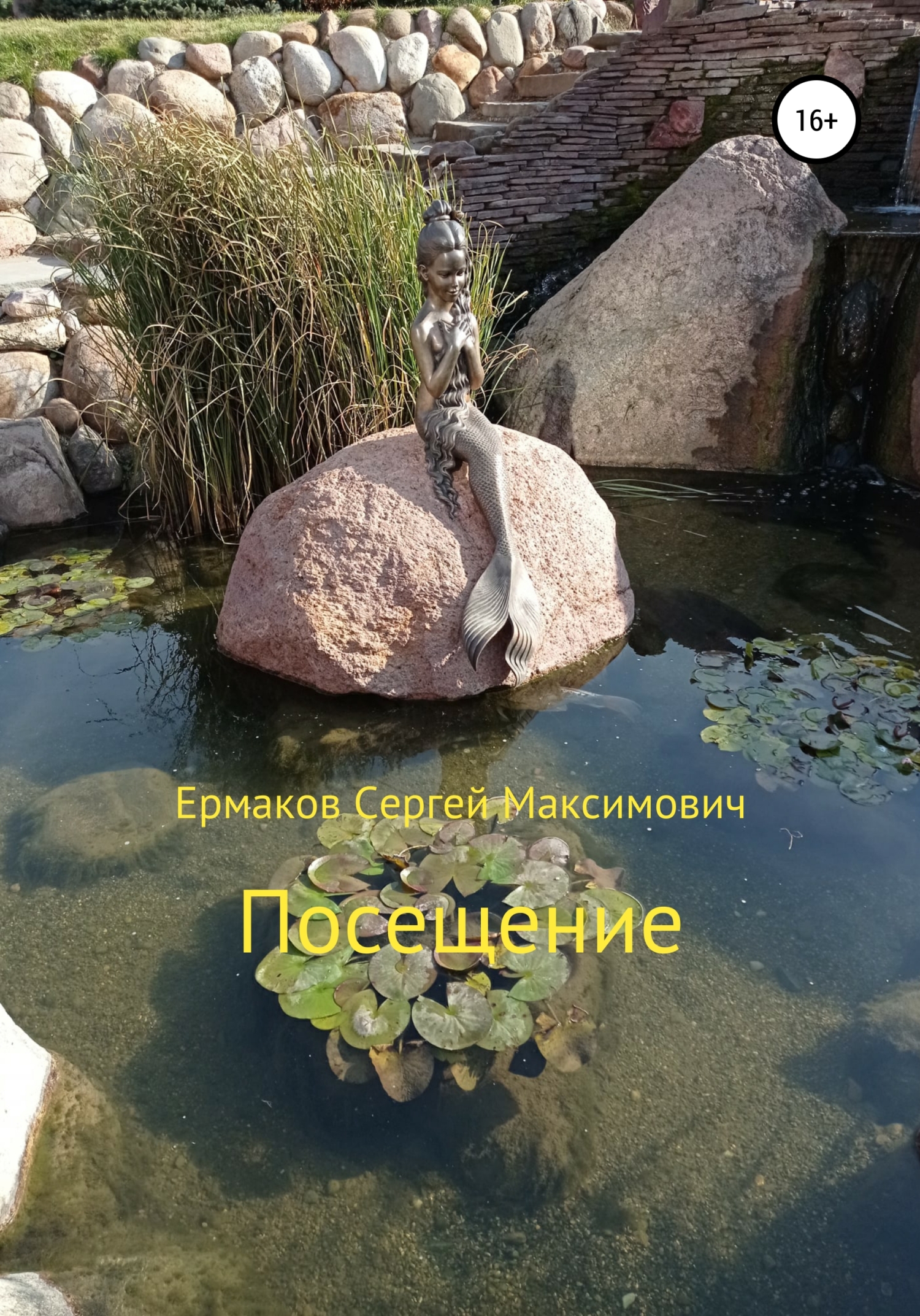 читать Посещение