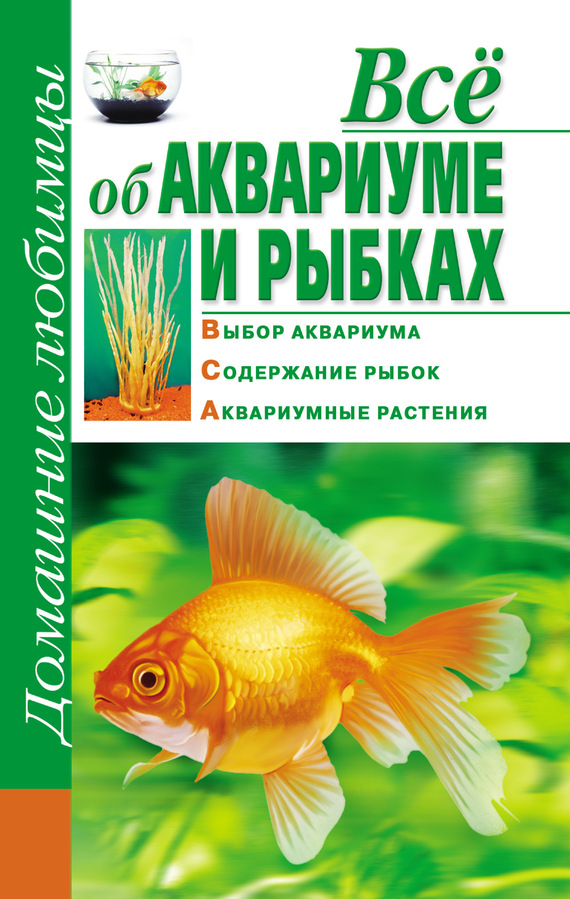 читать Всё об аквариуме и рыбках