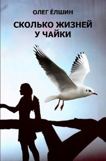 читать Сколько жизней у Чайки