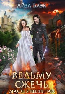 читать Ведьму сжечь, или Дракон, я тебе (не) пара
