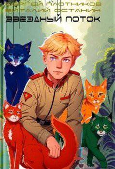 читать Звездный поток. Партизан